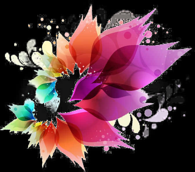 Holi Colour 桌布 壁紙 — 充滿活力的抽象花瓣以漸變色調在純黑背景上綻放，並帶有白色飛濺點綴。