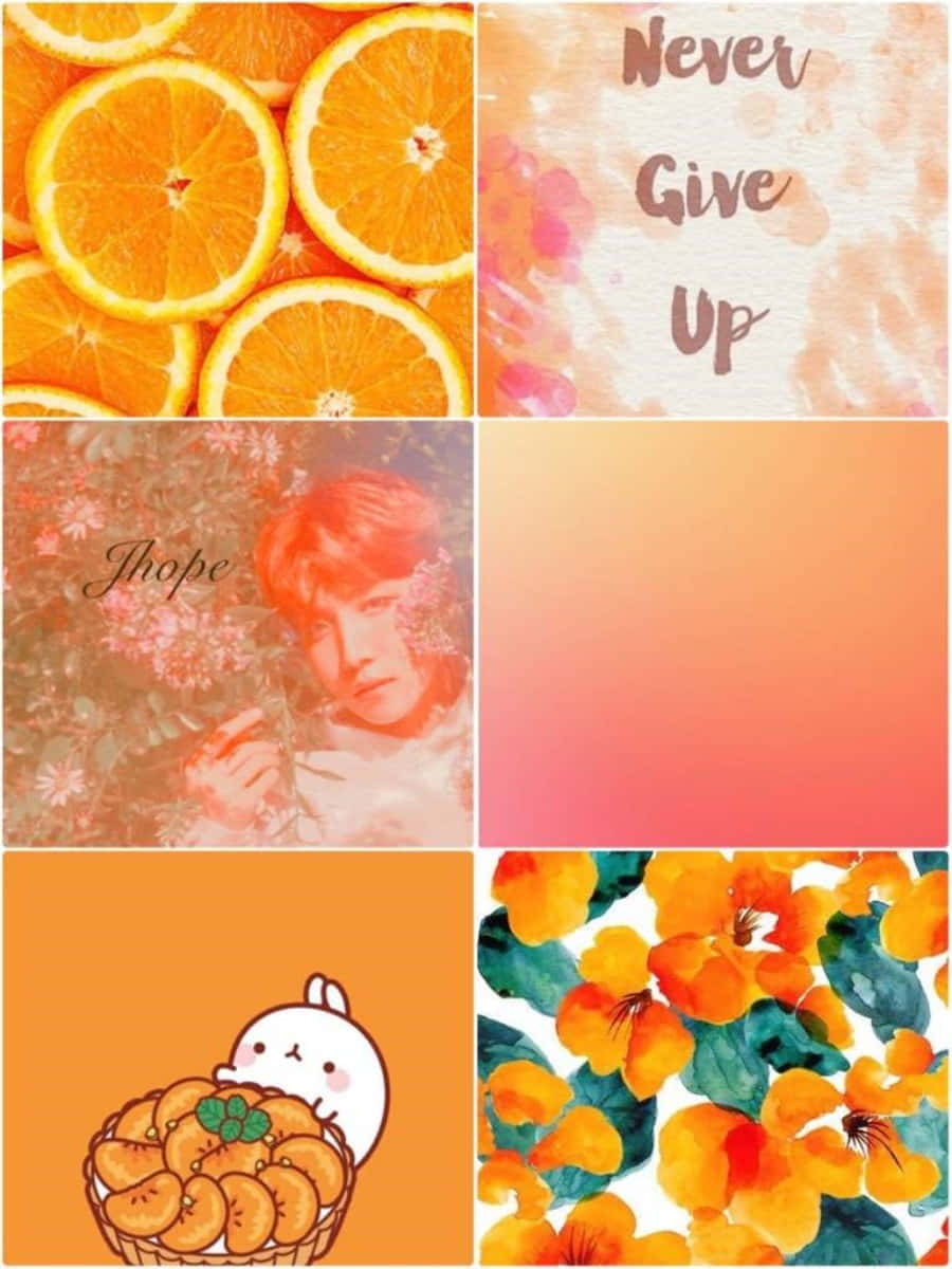 Pastel Orange 桌布 壁紙 — 充滿活力的拼貼畫，包含橙片、勵志文字、花卉肖像、可愛兔子和暖色調的水彩花卉。