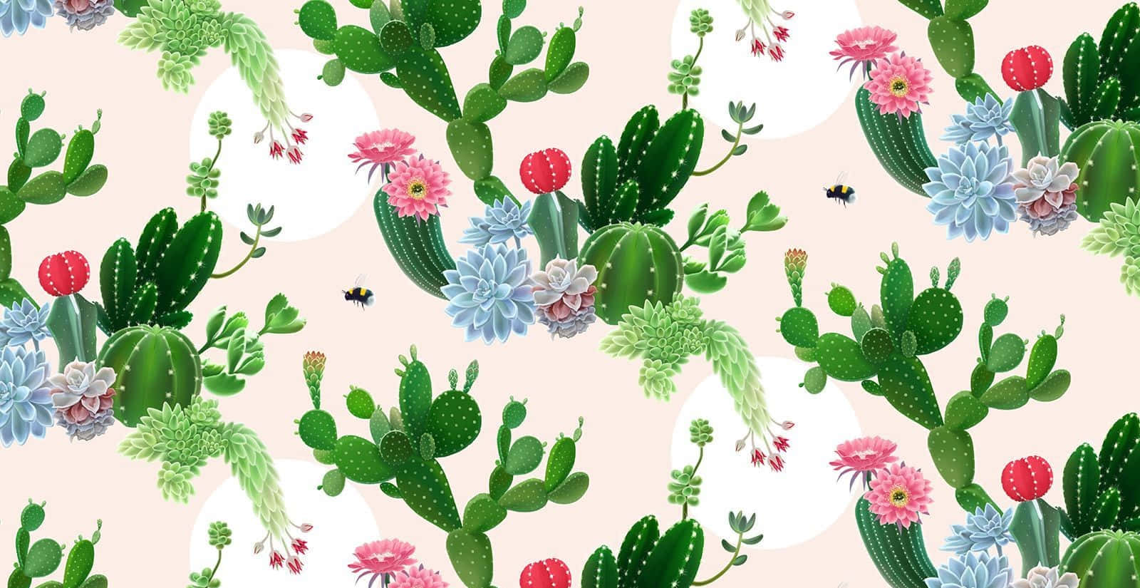 plants 桌布 壁紙 — 充滿活力的插圖仙人掌和多肉植物在柔和的粉彩背景上綻放粉紅色、藍色和紅色的花朵。