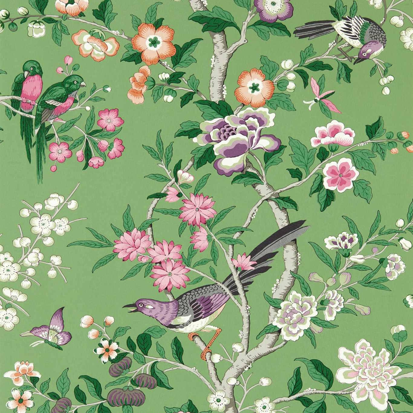 Chinoiserie 桌布 壁紙 — 充滿活力的插畫壁紙，描繪色彩繽紛的鳥兒棲息在盛開的樹枝上，背景是柔和的綠色。