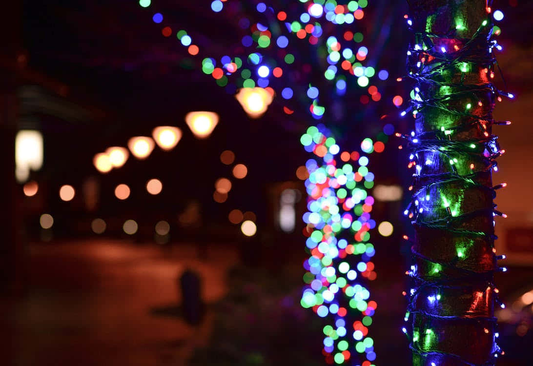 桌布 壁紙 — 充滿活力的散景燈光在夜間的樹幹上閃爍，溫暖的路燈在背景中柔和地發光。