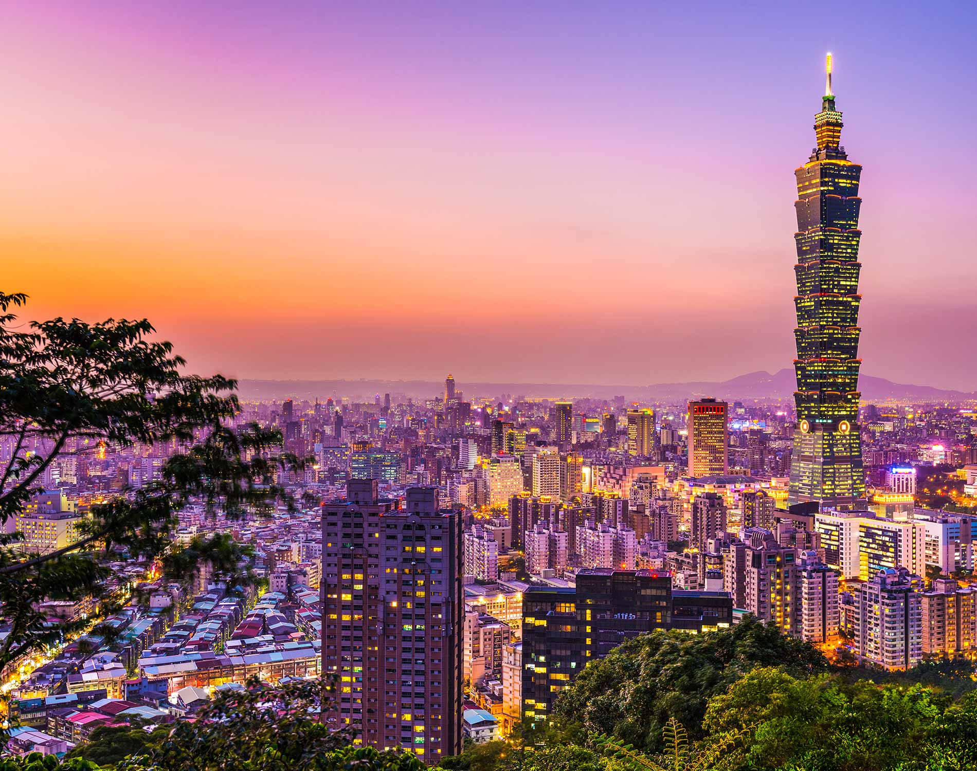 日落時分的台北城市景觀，台北101塔樓亮燈，前景有綠樹