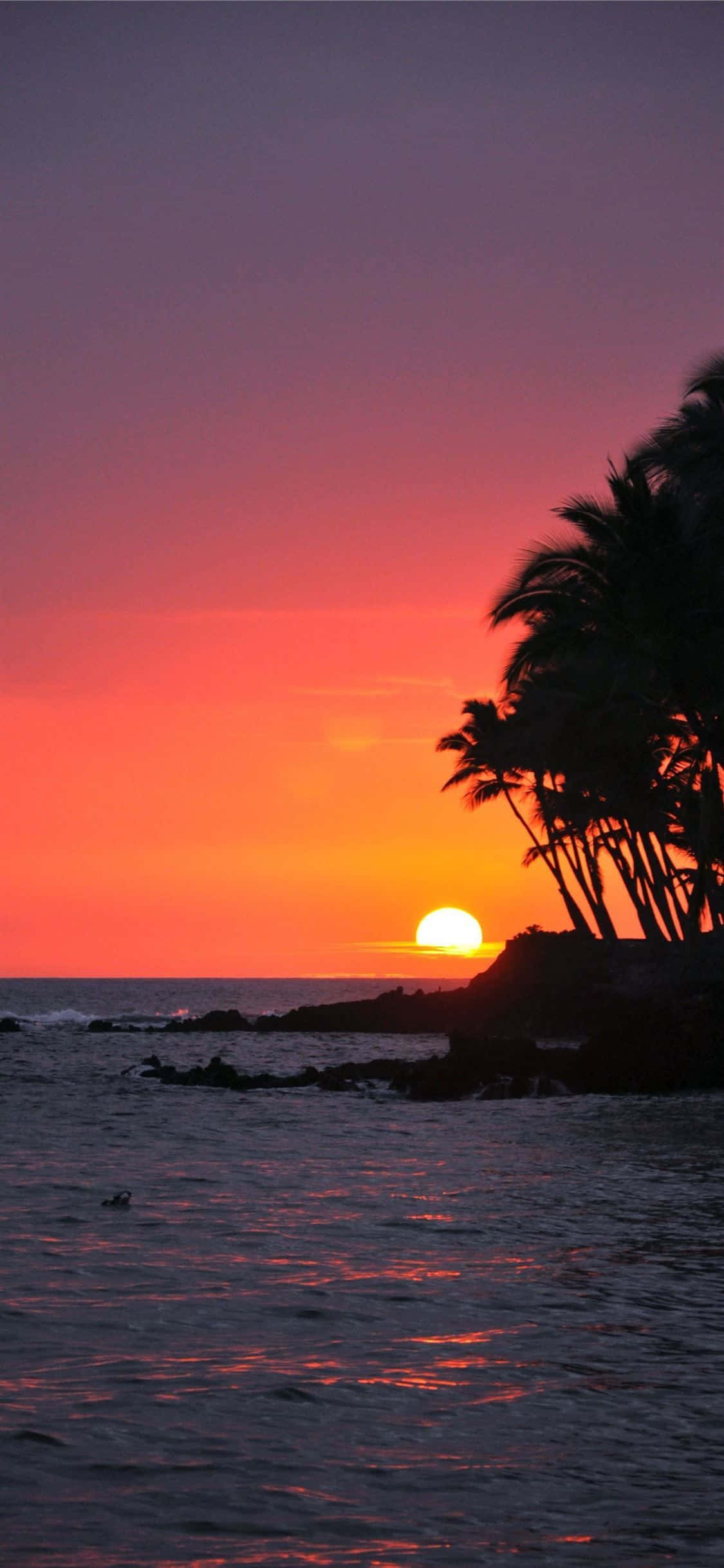 Hawaii iPhone 桌布 壁紙 — 充滿活力的日落將天空染成火熱的橙色和紫色，棕櫚樹在海洋地平線上形成剪影。