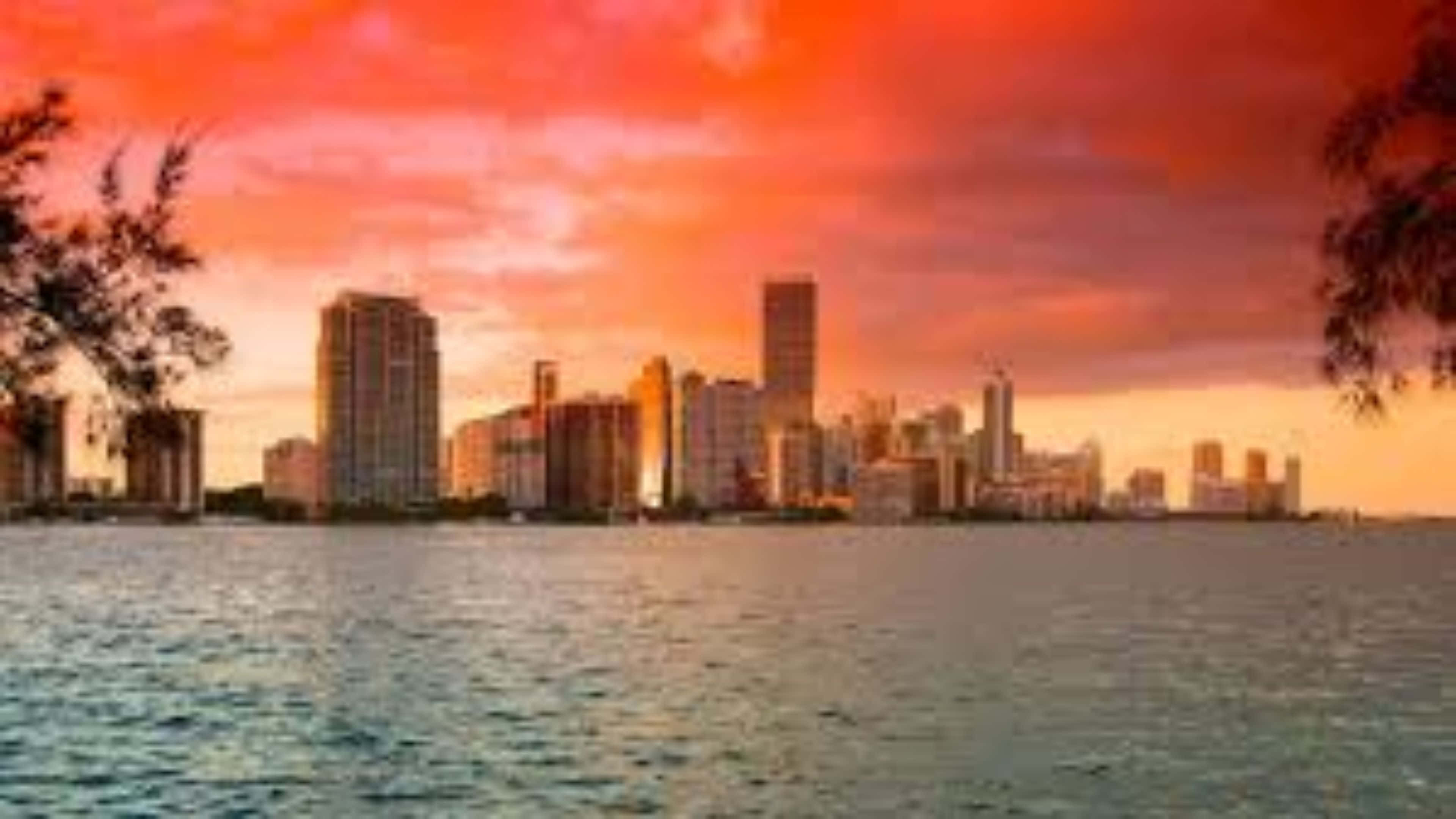Miami 4K 桌布 壁紙 — 充滿活力的日落將邁阿密天際線染成火熱的橙色和粉紅色調，映照在平靜的水面上，並以樹枝框住。