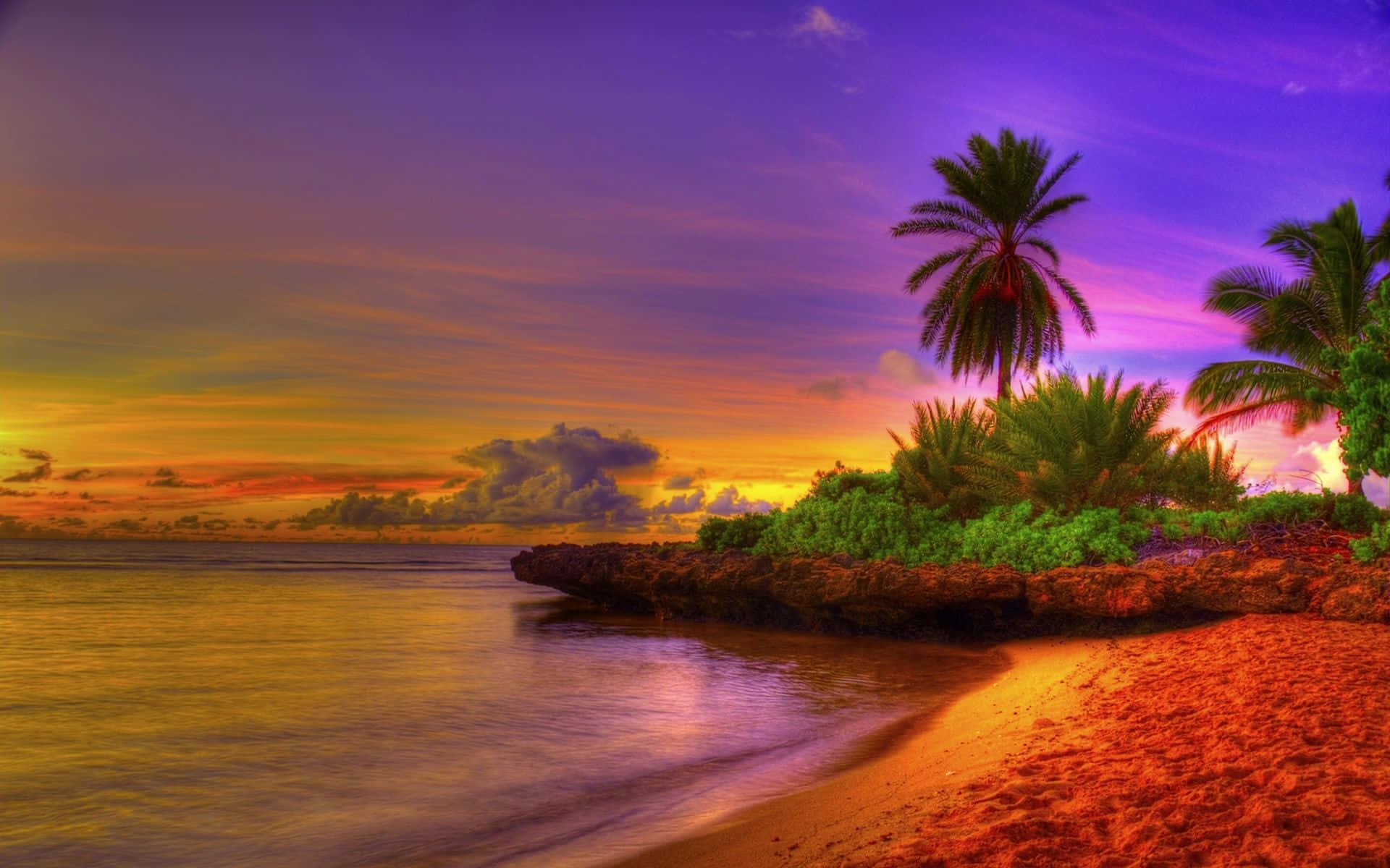 Tropical Beach 桌布 壁紙 — 充滿活力的日落描繪了一個熱帶海灘，棕櫚樹在紫色和橙色的天空中閃耀。