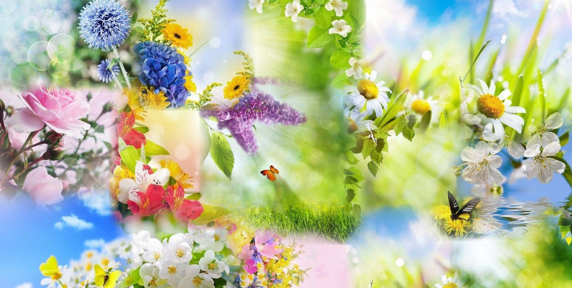 彩色動圖 桌布 壁紙 — 充滿活力的春天花朵、蝴蝶和草地拼貼畫，在明亮的藍天下帶有柔和的散景效果。