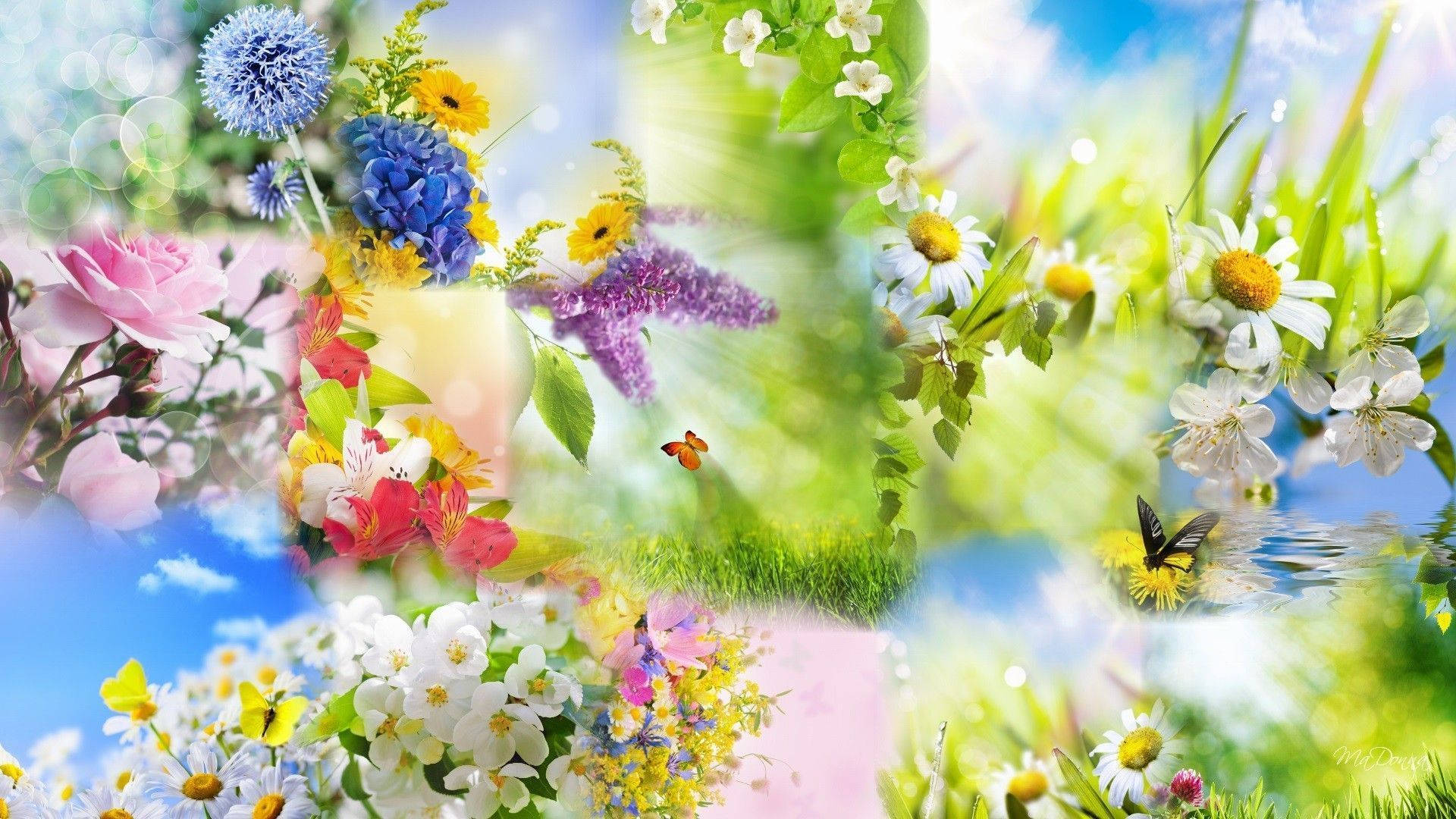 Spring Aesthetic 桌布 壁紙 — 充滿活力的春天花朵、蝴蝶和草地拼貼畫，在明亮的藍天下帶有柔和散景效果。
