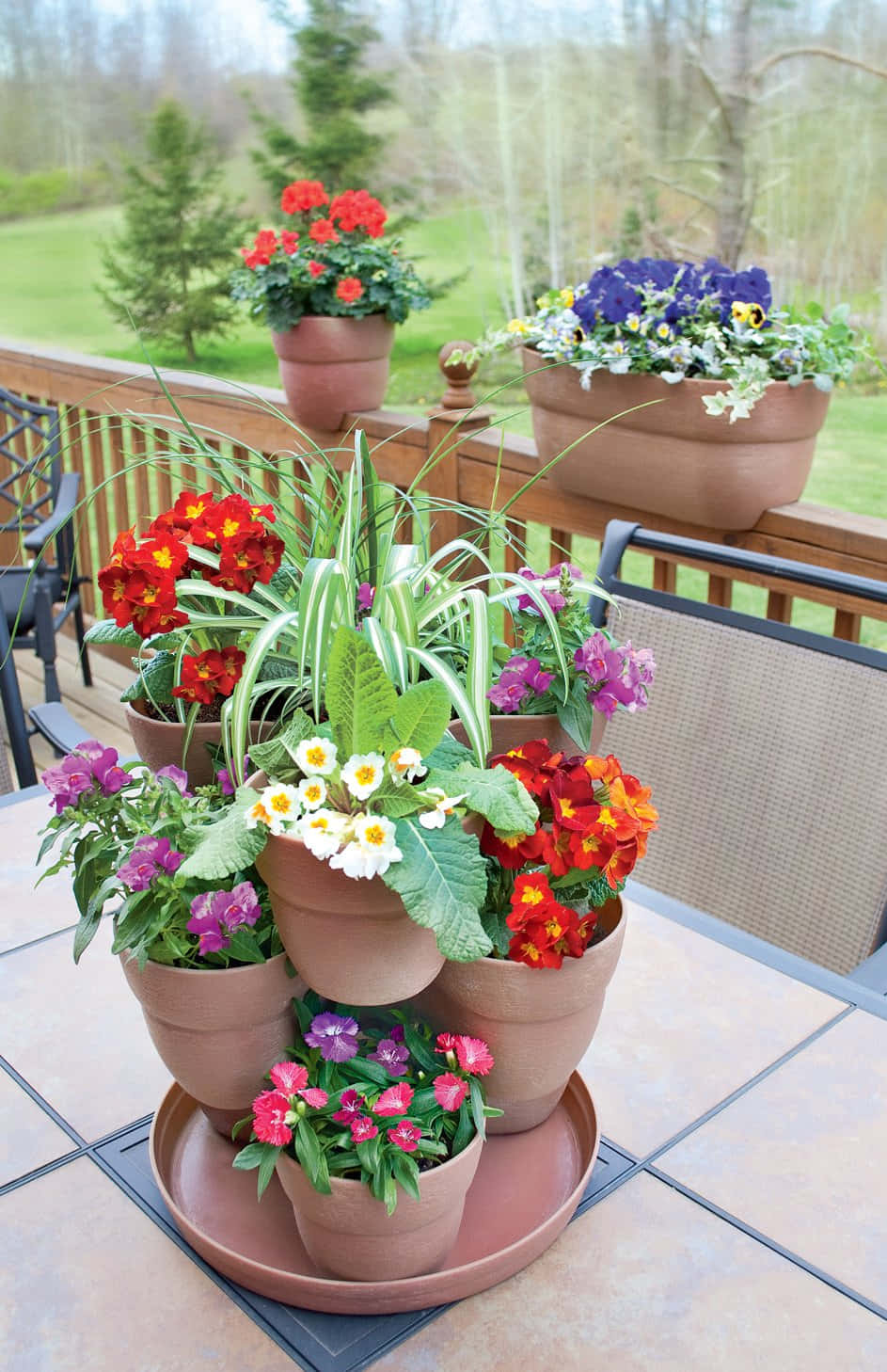 Flower Pot 桌布 壁紙 — 充滿活力的春天花朵在陶土花盆中層疊，鋪設在瓷磚庭院上，背景有木欄杆和綠色草坪。