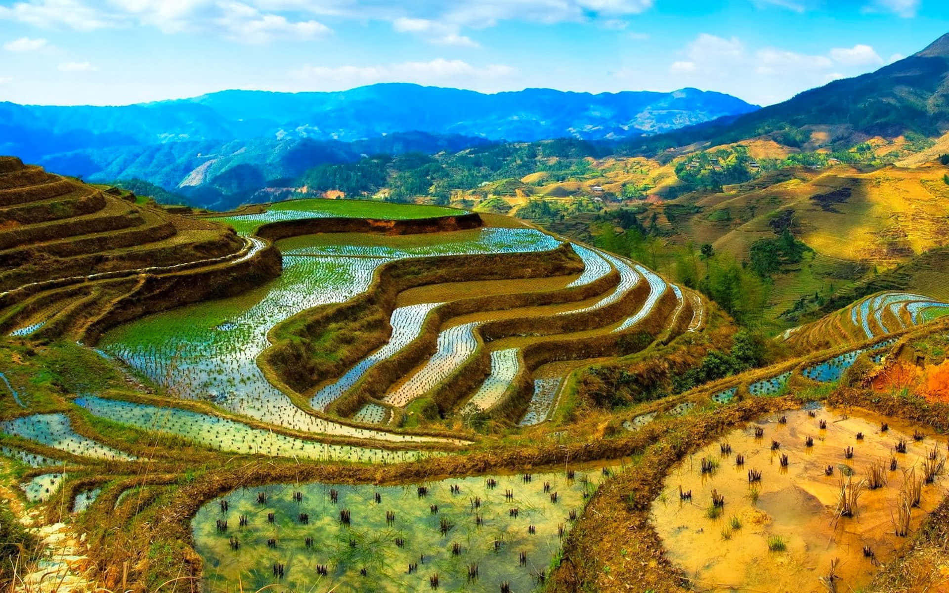 山景 桌布 壁紙 — 充滿活力的梯田在陽光明媚的山巒上層層疊疊，映襯著藍天白雲。