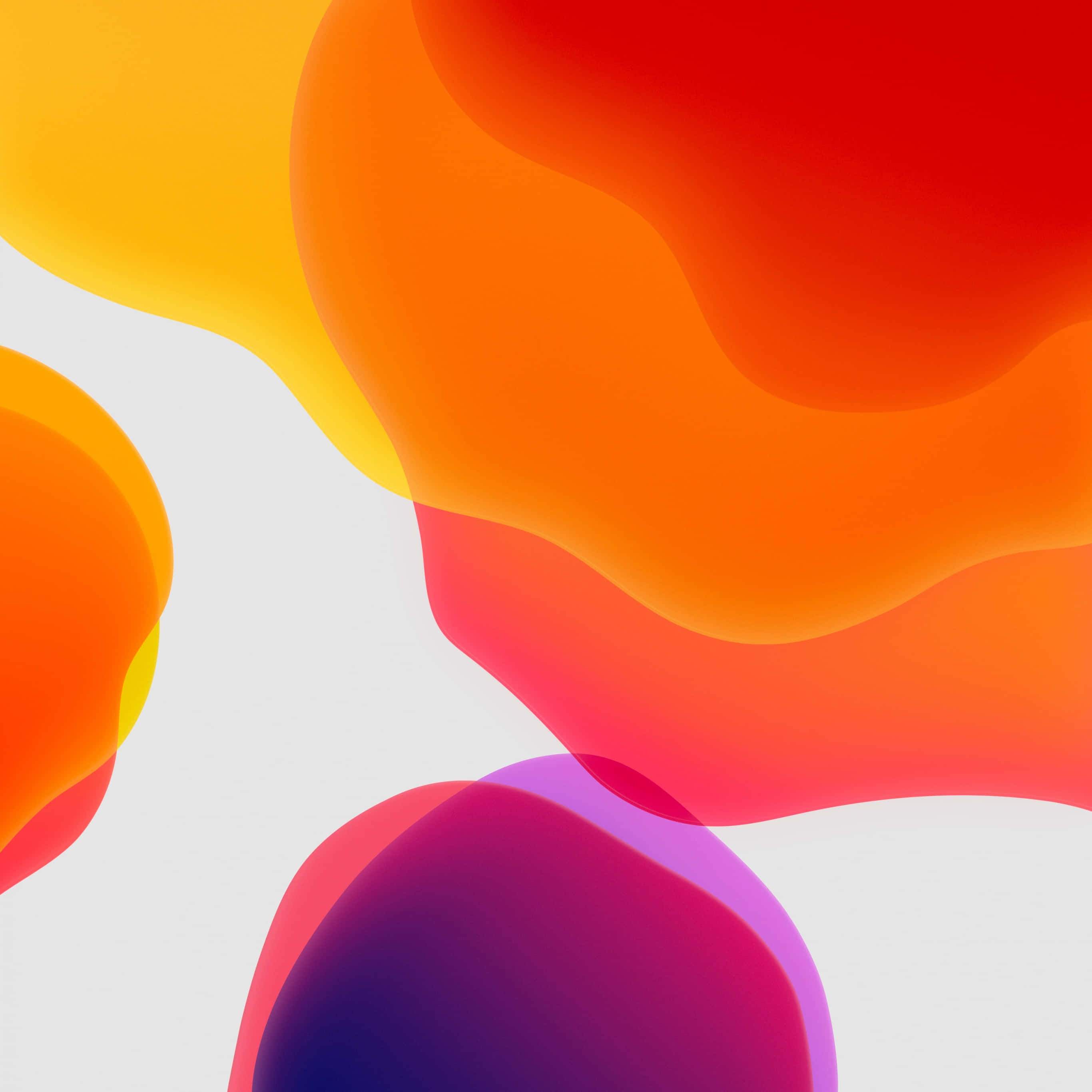 Red And Orange 桌布 壁紙 — 充滿活力的橙色、紅色、黃色和紫色抽象斑點在柔軟的白色背景上流動。