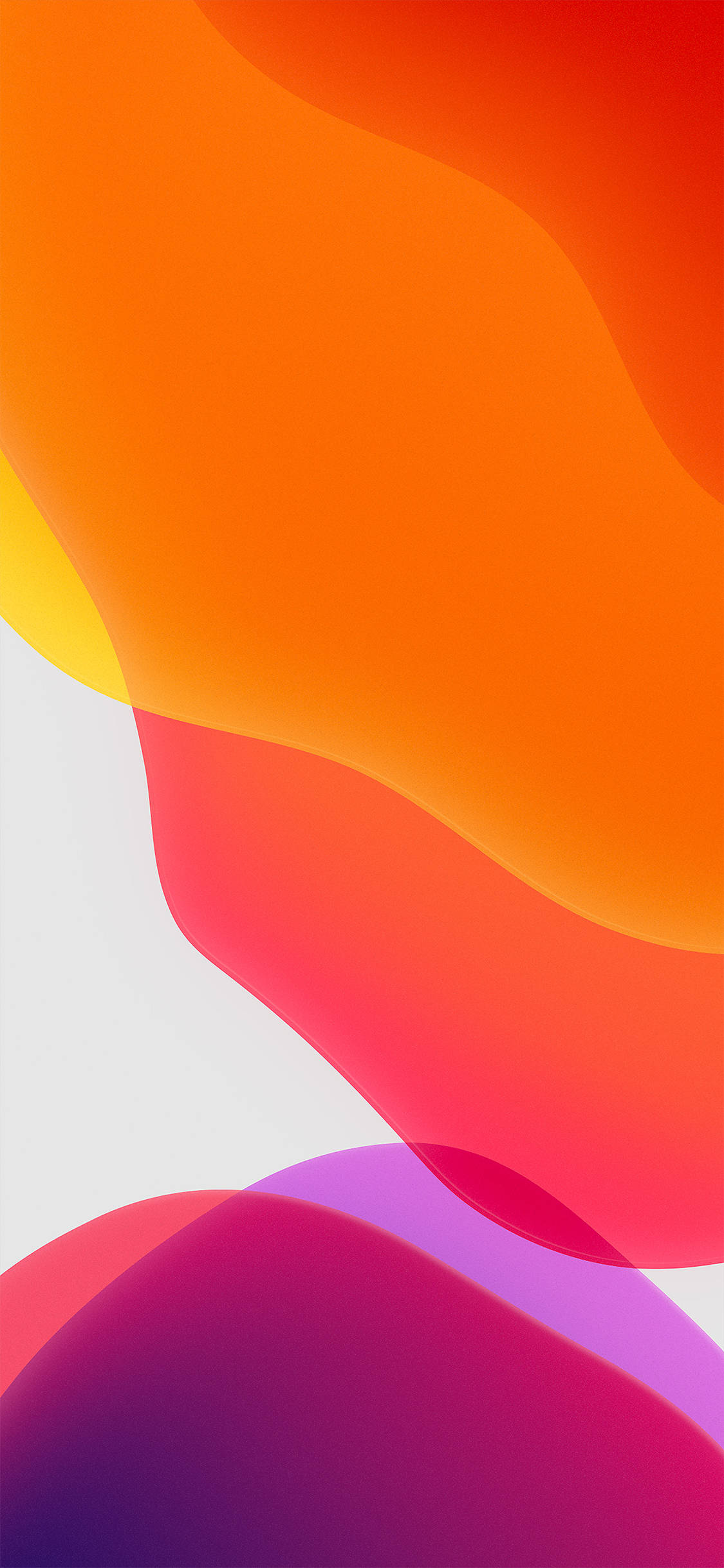 iOS 13 桌布 壁紙 — 充滿活力的橙色、紅色和紫色抽象波浪在柔和的白色背景上優雅地流動。