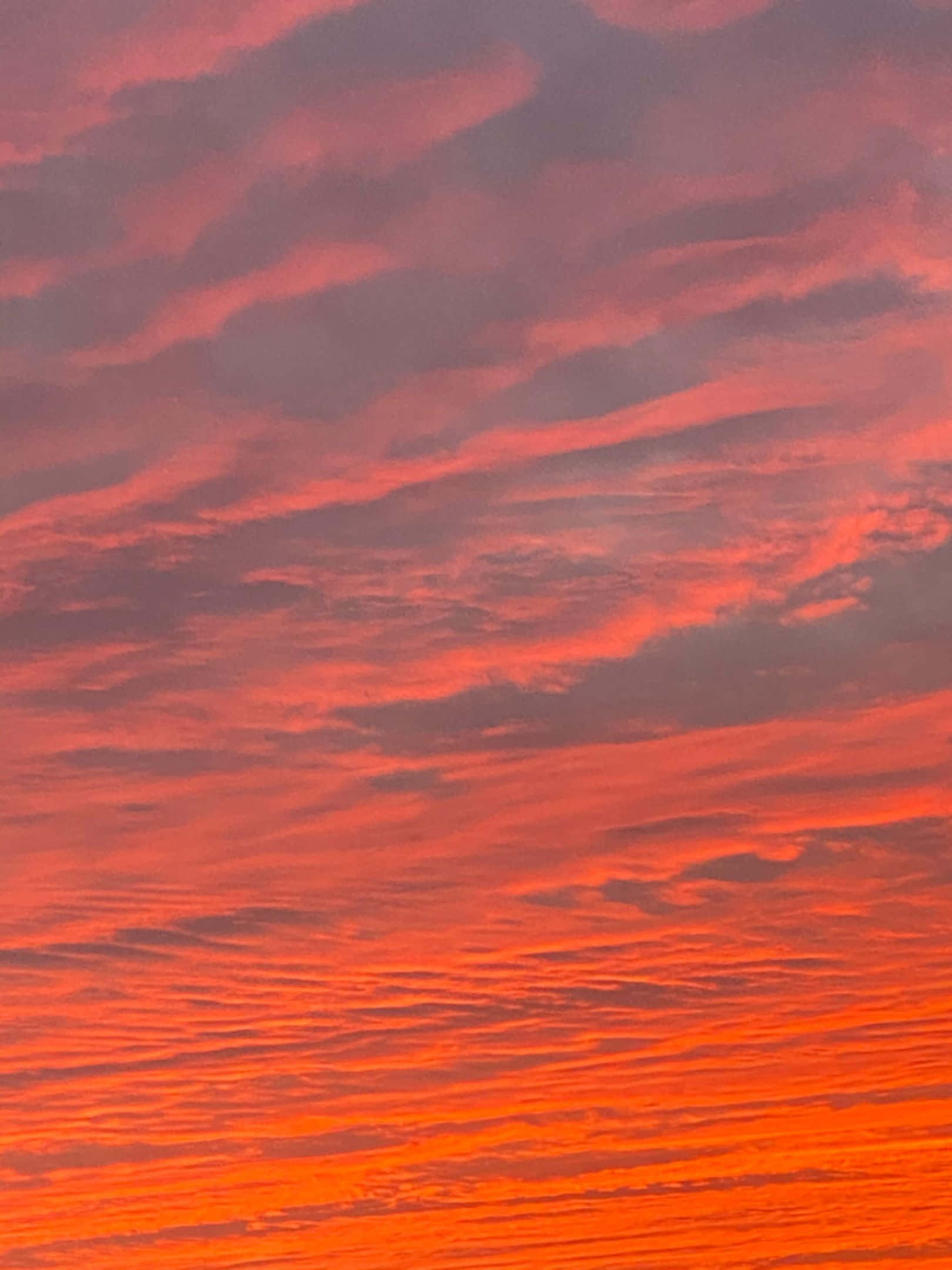1620x2160 桌布 壁紙 — 充滿活力的橙色和粉紅色雲彩，帶著紋理般的絲縷，劃過熾熱的日落天空。