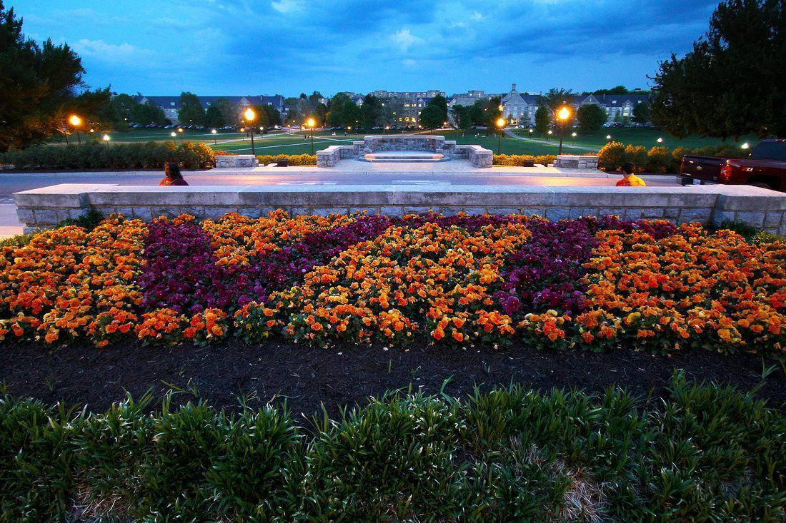 Virginia Tech 桌布 壁紙 — 充滿活力的橙色和紫色花壇在暮色街燈下閃耀，位於寧靜的城市公園中，遠處有建築物。