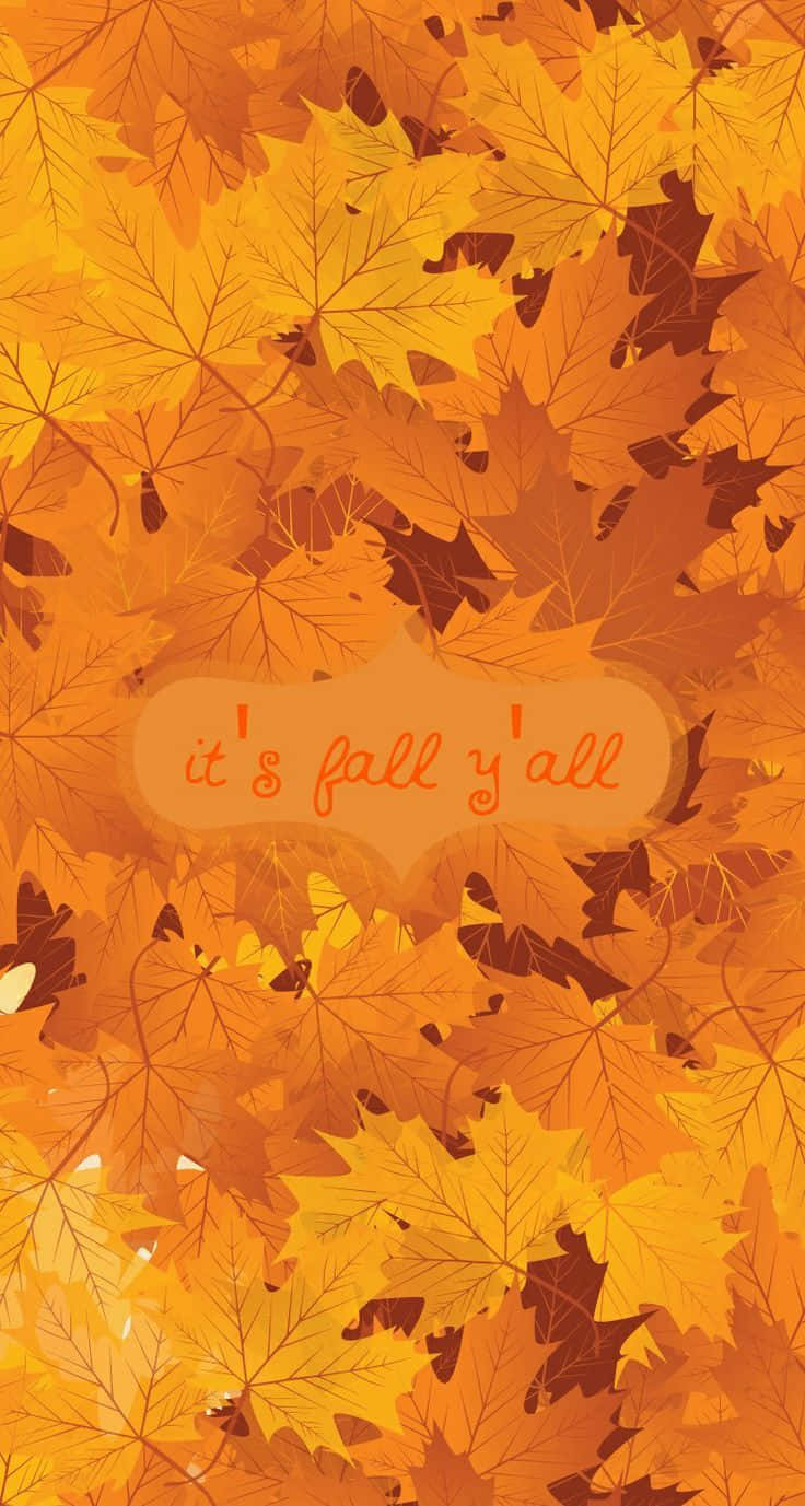 Fall Leaves iPhone 桌布 壁紙 — 充滿活力的橙色和黃色楓葉覆蓋螢幕，帶來歡快的秋季訊息。