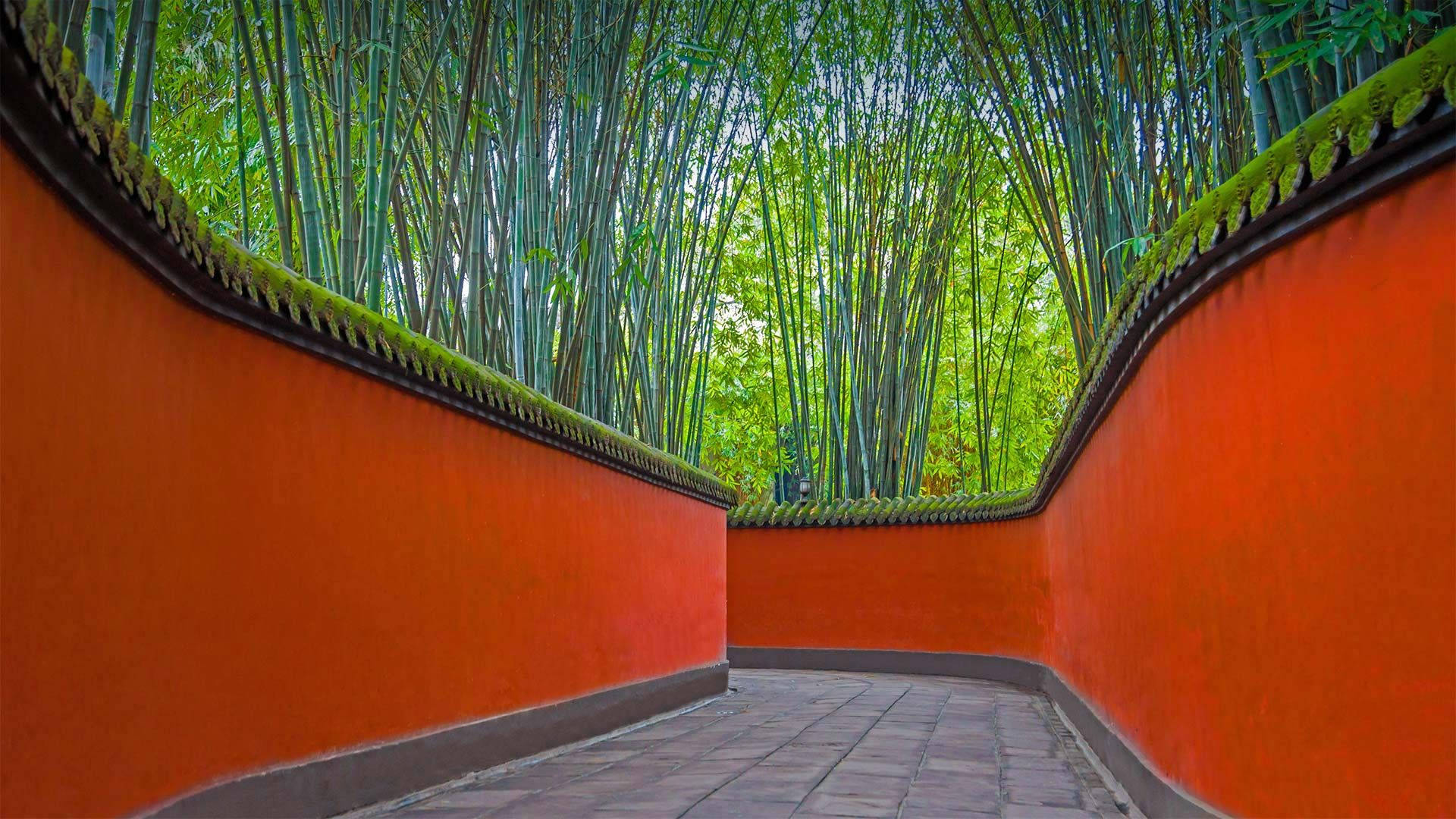 Chengdu 桌布 壁紙 — 充滿活力的橙色彎曲牆壁框住一條寧靜的小徑，通往鬱鬱蔥蔥的綠色竹林。