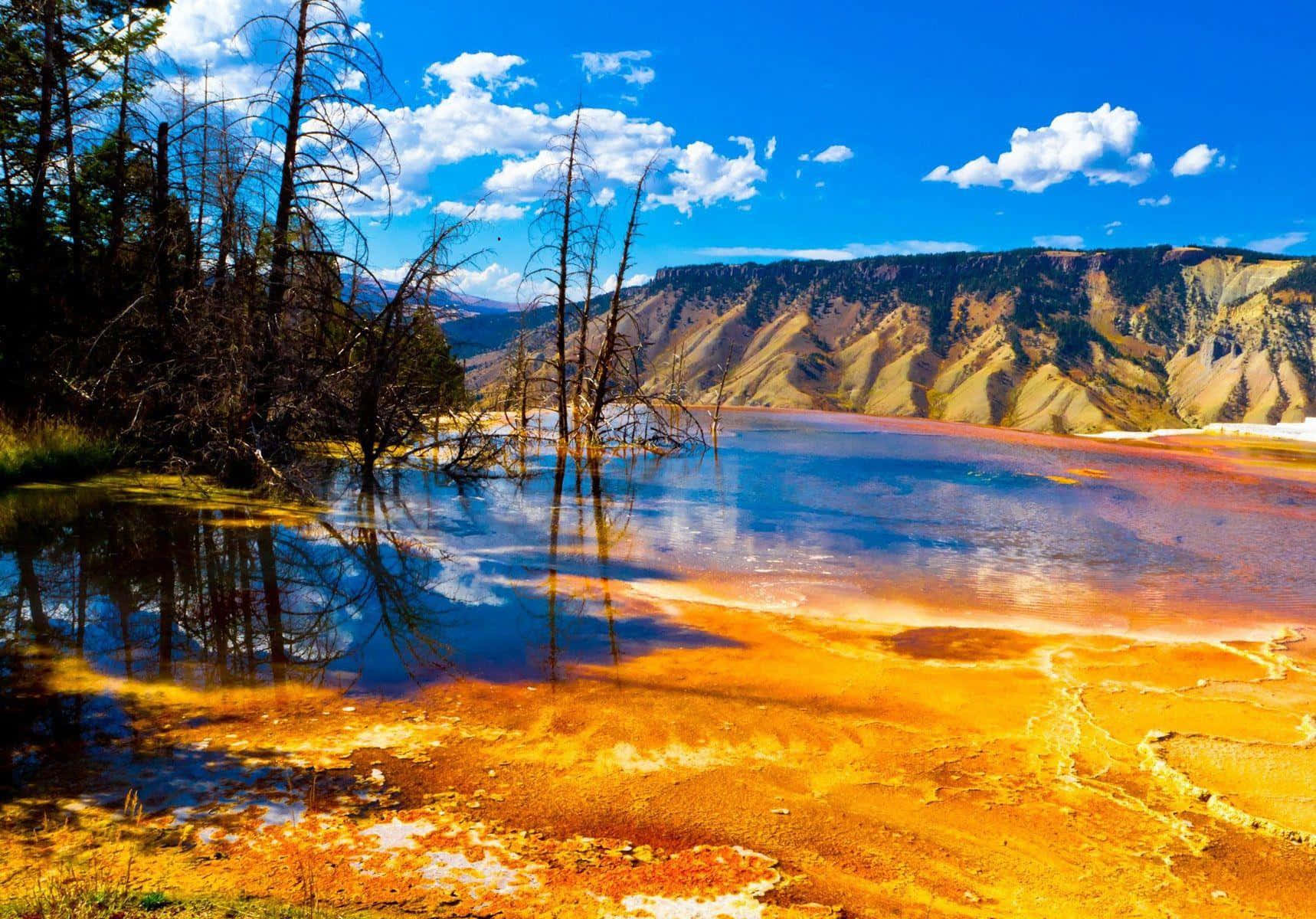 Yellowstone 桌布 壁紙 — 充滿活力的橙色微生物墊在平靜的溫泉上泛起漣漪，倒映著晴朗的藍天、蓬鬆的雲朵和遠山。