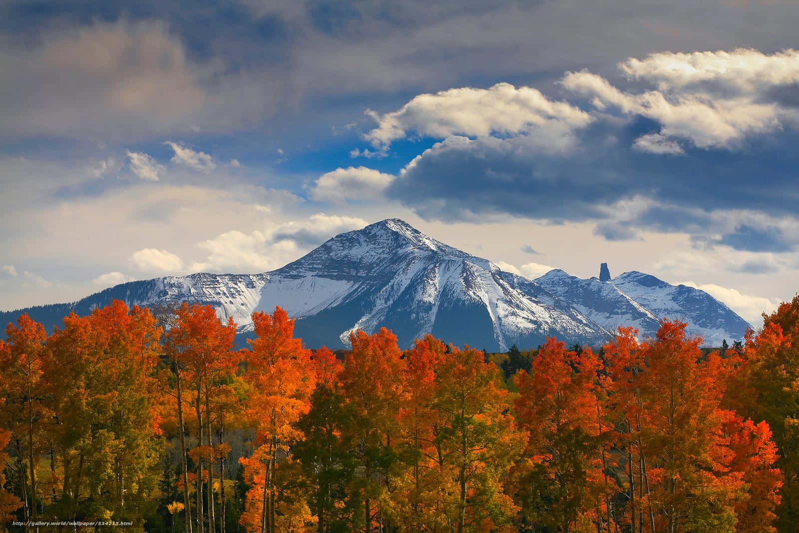Aspen Colorado 桌布 壁紙 — 充滿活力的橙色白楊樹襯托著一座白雪覆蓋的山峰，背景是戲劇性的藍天和蓬鬆的白雲。