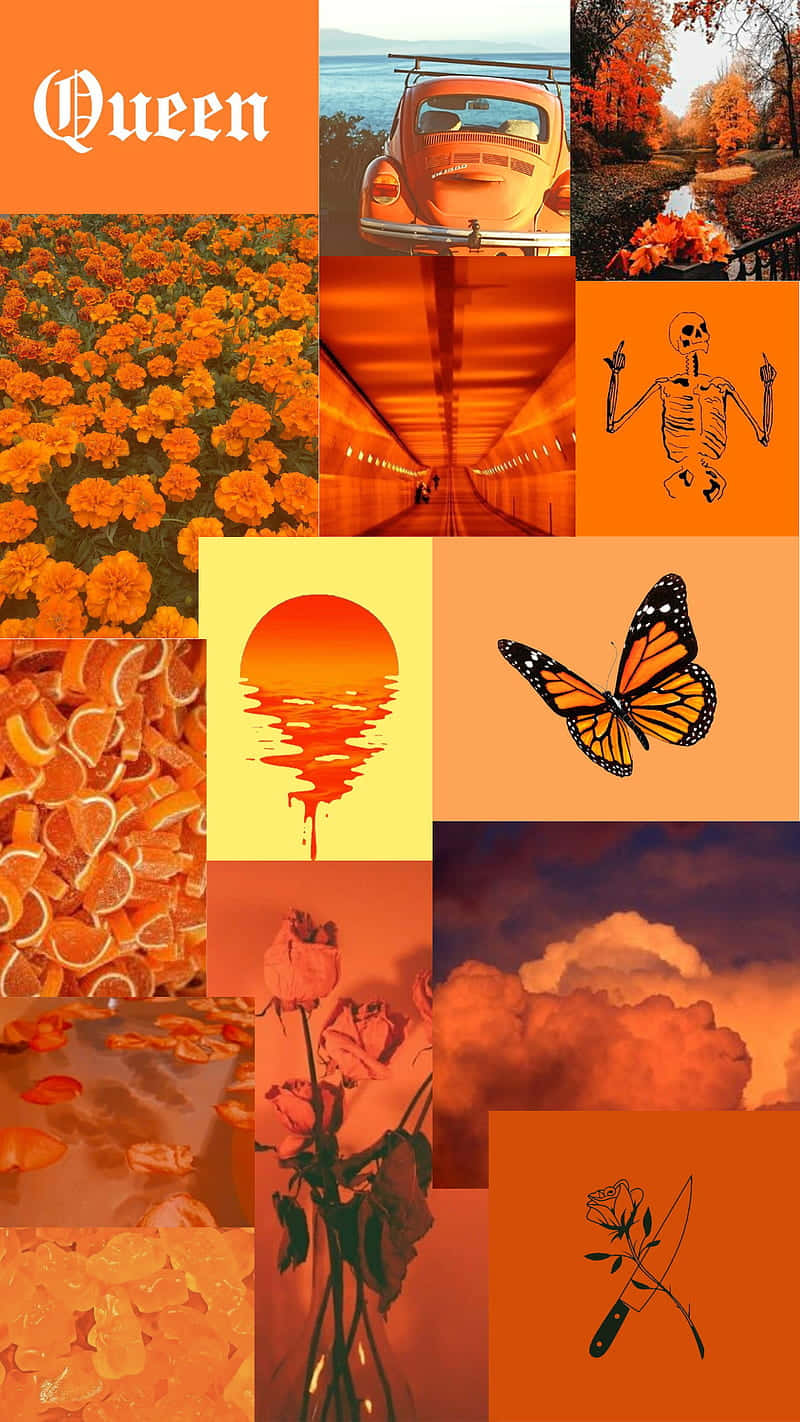Orange Aesthetic Phone 桌布 壁紙 — 充滿活力的橙色調拼貼畫， featuring 萬壽菊、一輛VW巴士、秋樹、一個骷髏、蝴蝶、玫瑰和雲朵。