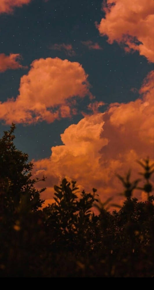 橘色 桌布 壁紙 — 充滿活力的橙色雲朵在繁星點點的夜空下，在黑暗的樹木剪影上方發光。