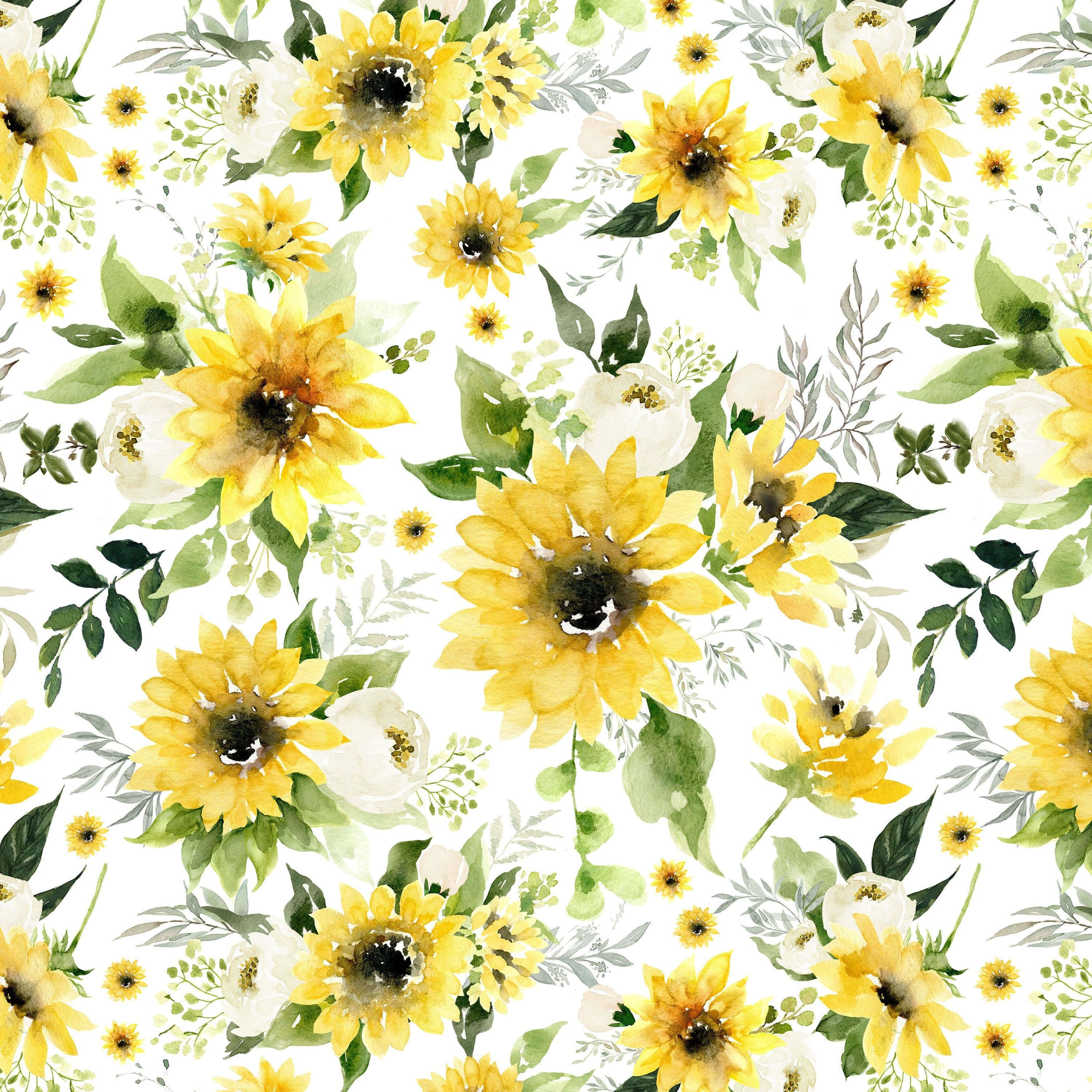 Sunflowers 桌布 壁紙 — 充滿活力的水彩向日葵和白色花朵，搭配綠色葉子，在潔淨的白色背景上。