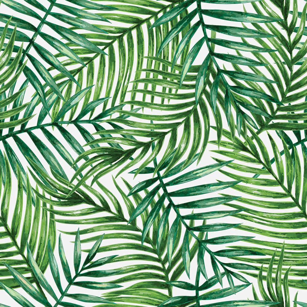 Aesthetic Leaf 桌布 壁紙 — 充滿活力的水彩棕櫚葉以各種綠色色調在潔淨的白色背景上營造出茂盛的熱帶圖案。