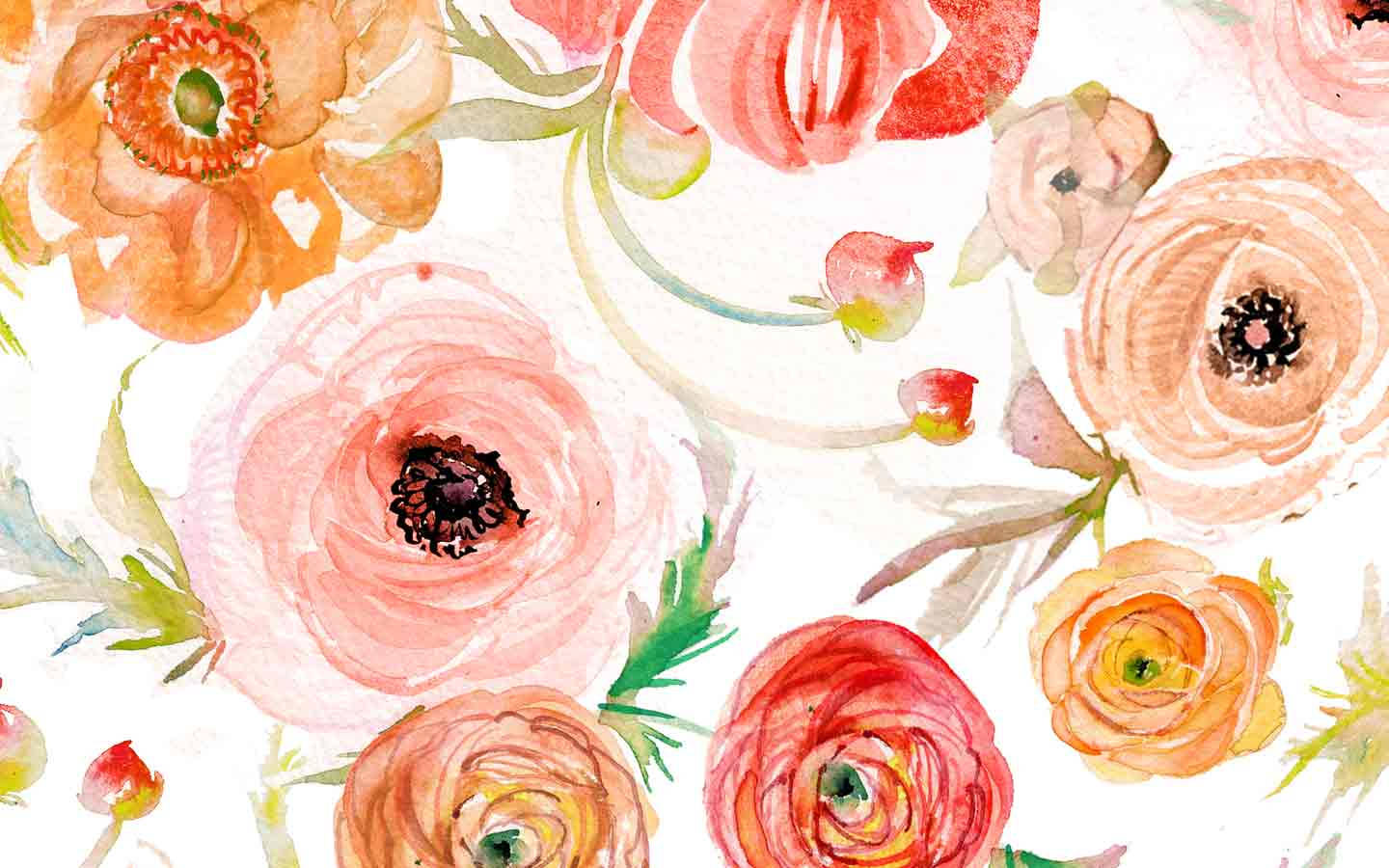 Watercolor 桌布 壁紙 — 充滿活力的水彩毛茛花，珊瑚桃色和橙色色調，帶有精緻的綠色莖，在明亮的白色背景上。