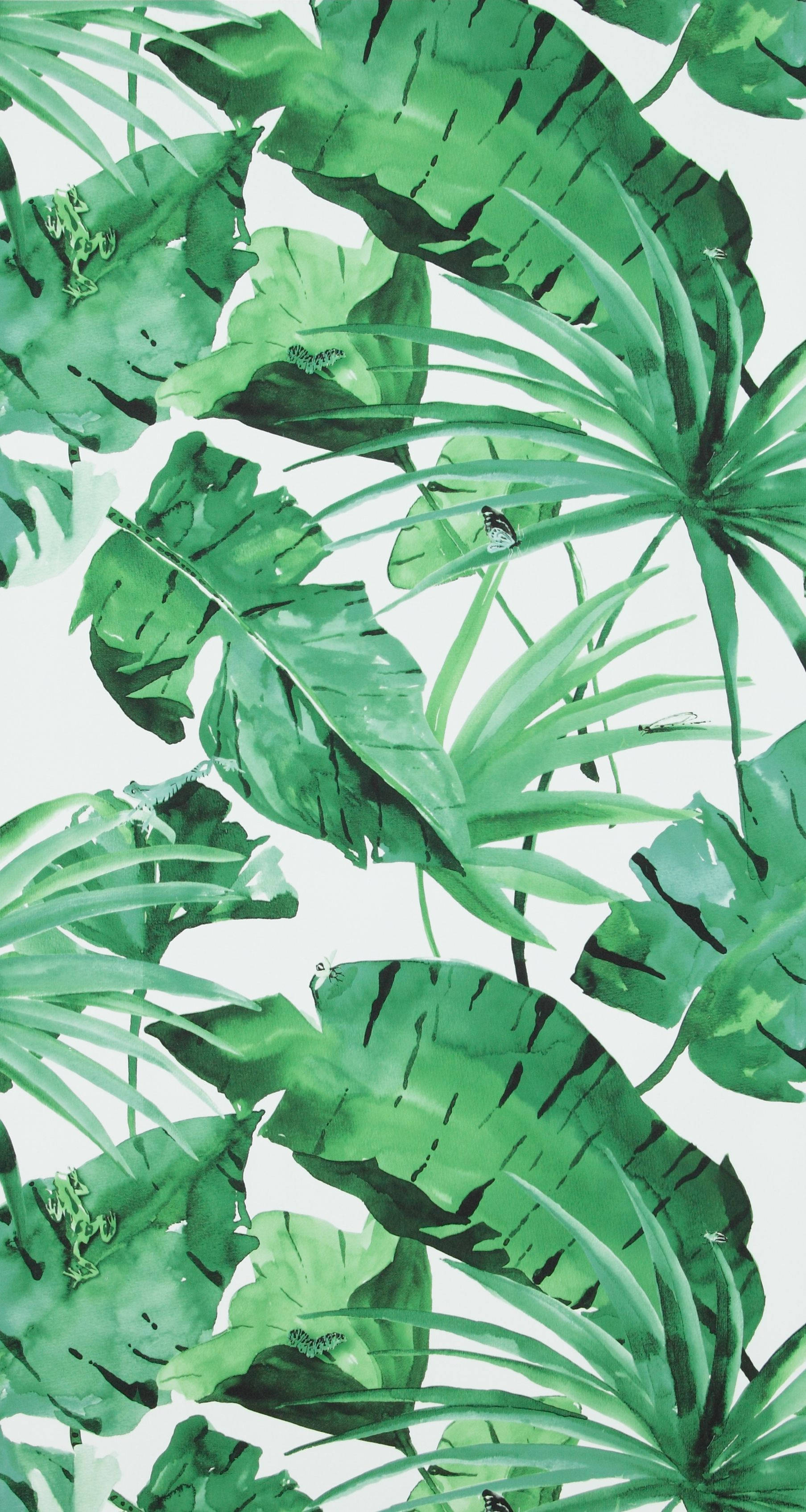 叢林 桌布 壁紙 — 充滿活力的水彩熱帶樹葉，以不同深淺的綠色漂浮在柔和的白色背景上。