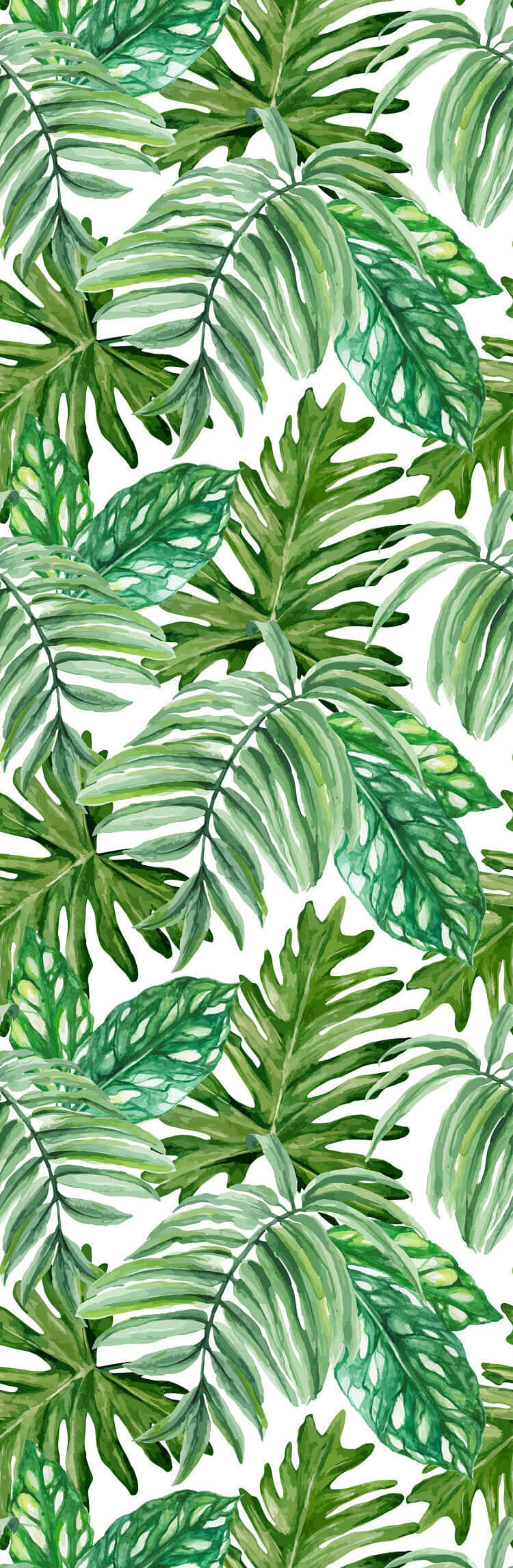 Green Leaves 桌布 壁紙 — 充滿活力的水彩熱帶葉子，以各種綠色色調在純白背景上營造出茂密的無縫圖案。