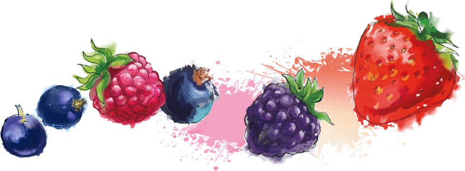 莓果 桌布 壁紙 — 充滿活力的水彩風格莓果，包括草莓、藍莓、覆盆子和黑莓，濺上粉紅色和橙色的色調。