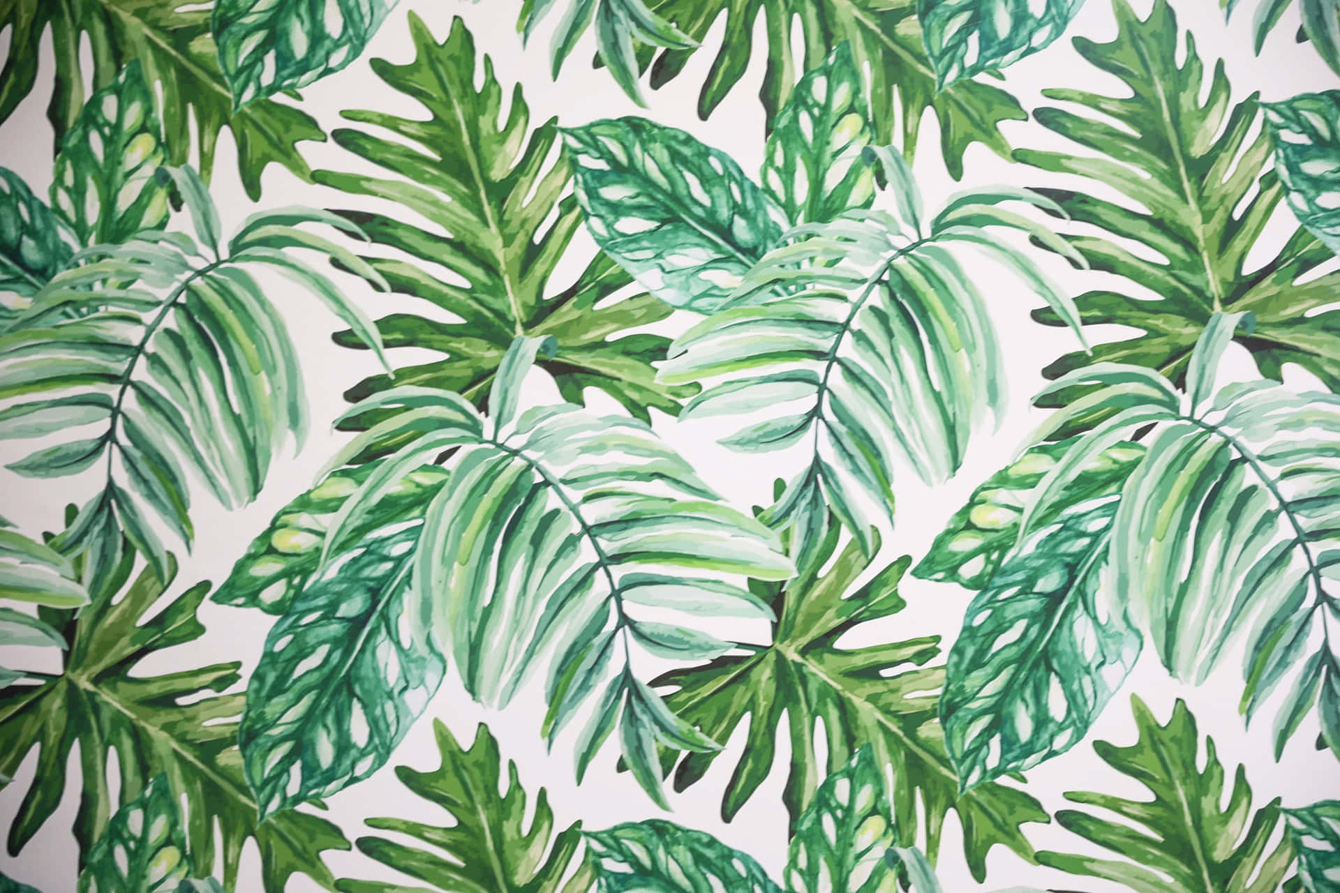 Aesthetic Leaf 桌布 壁紙 — 充滿活力的水彩龜背竹葉以不同深淺的綠色重疊在柔和的白色背景上，營造出茂盛的熱帶圖案。