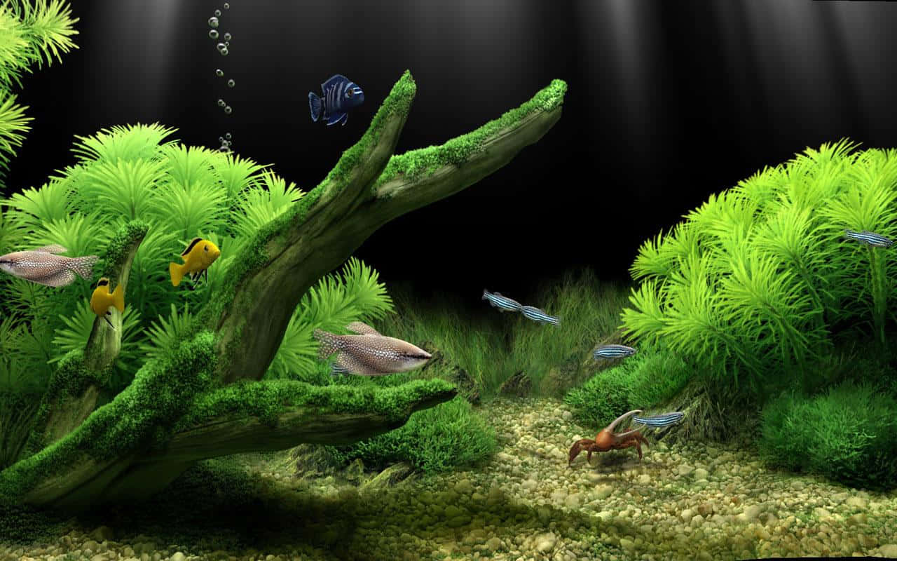 桌布 壁紙 — 充滿活力的水族箱場景，色彩繽紛的魚兒在長滿苔蘚的浮木中心和茂盛的綠色植物周圍游動。