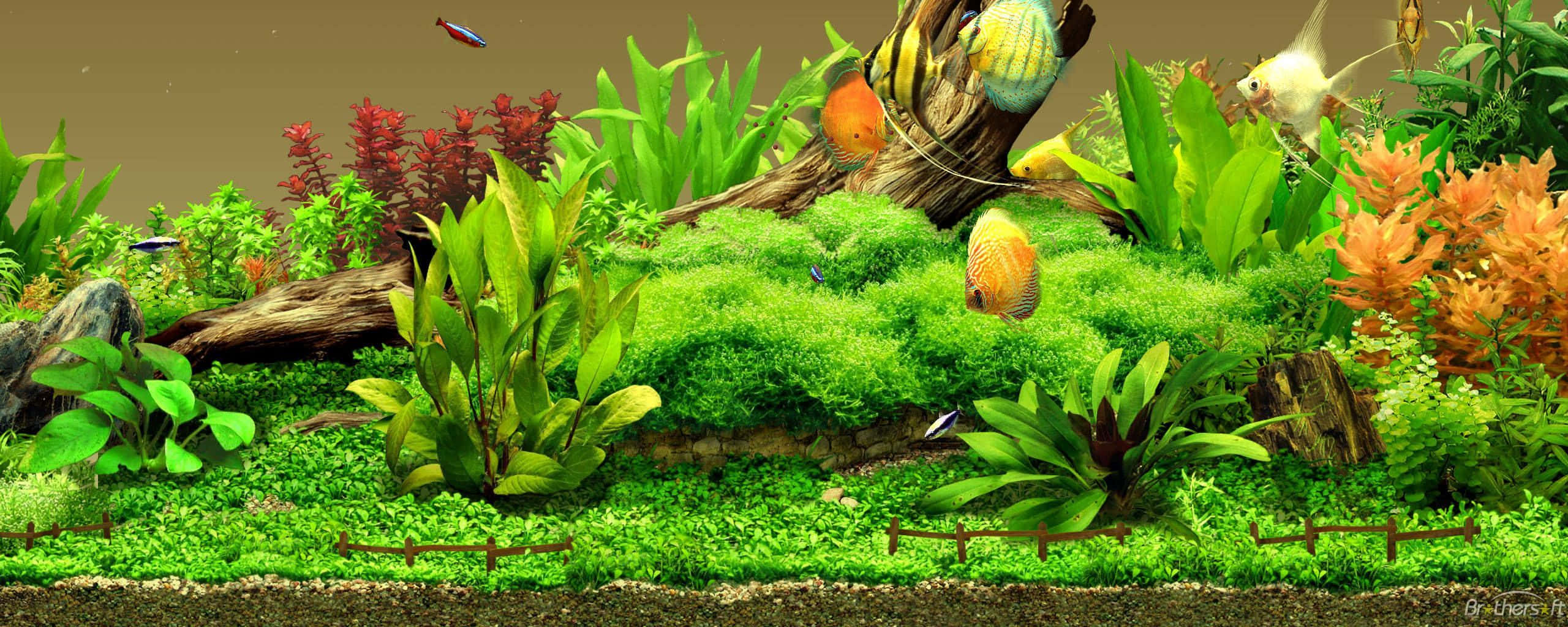 綠色 桌布 壁紙 — 充滿活力的水族館場景，有茂密的綠色苔蘚地形、色彩繽紛的魚兒在熱帶植物和浮木間游動。