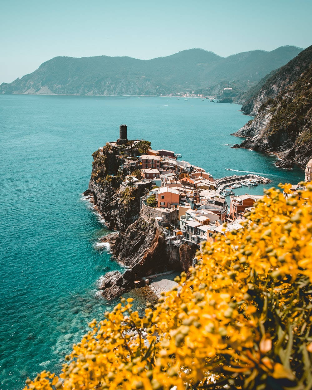 Capri 桌布 壁紙 — 充滿活力的沿海村莊依附在岩石峭壁上，俯瞰著碧綠色的海洋，前景有黃色花朵。