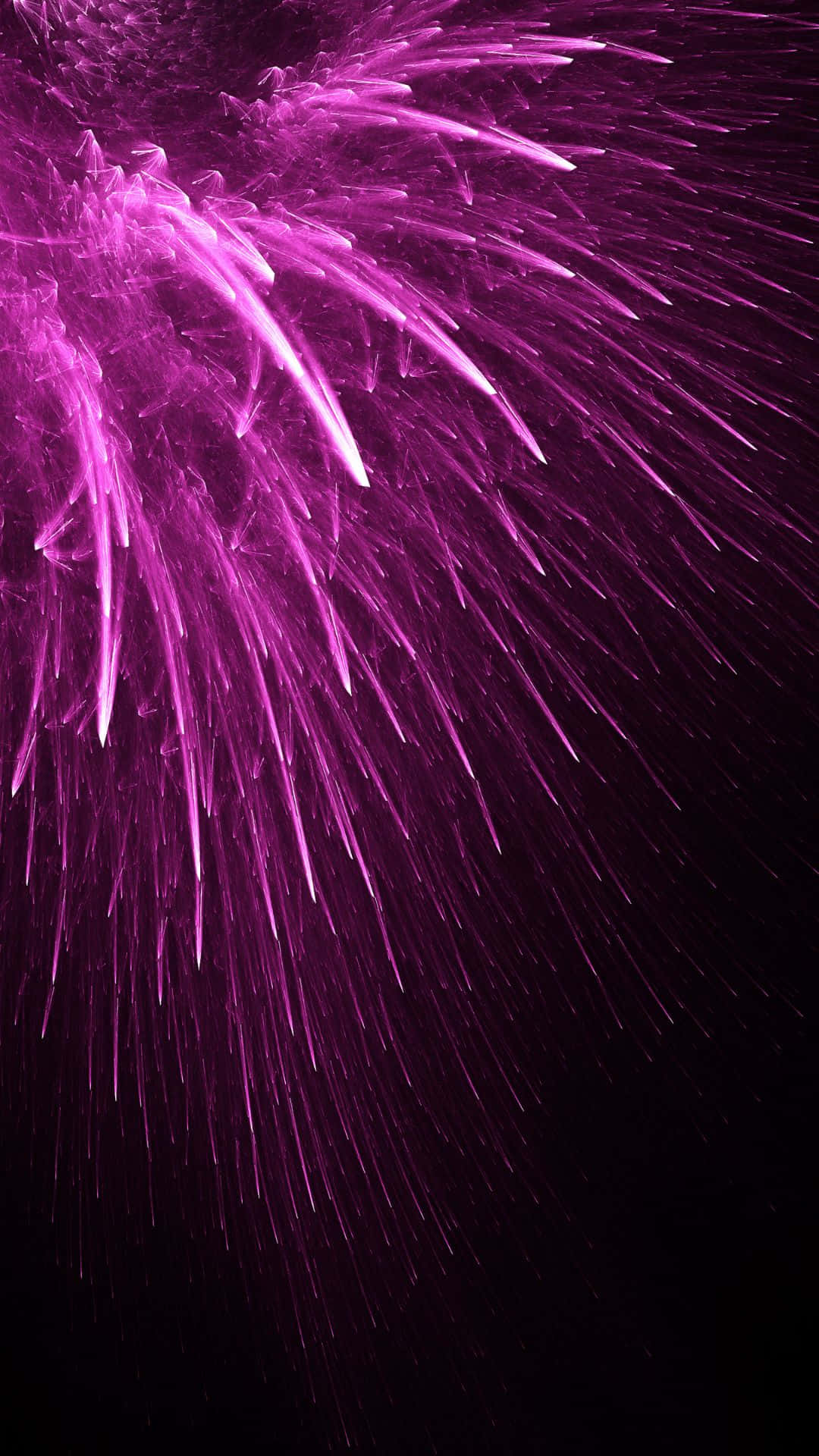 Purple Sparkle 桌布 壁紙 — 充滿活力的洋紅色煙火在深黑色的夜空中爆裂成條紋。