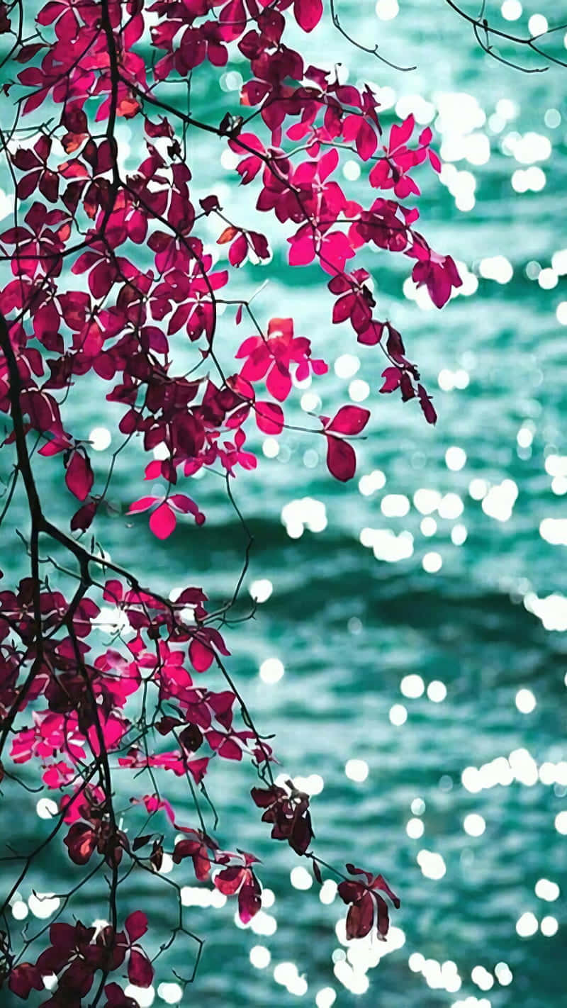 Leaves 桌布 壁紙 — 充滿活力的洋紅色葉子懸掛在閃閃發光的碧綠水面上，帶有明亮的散景反射。