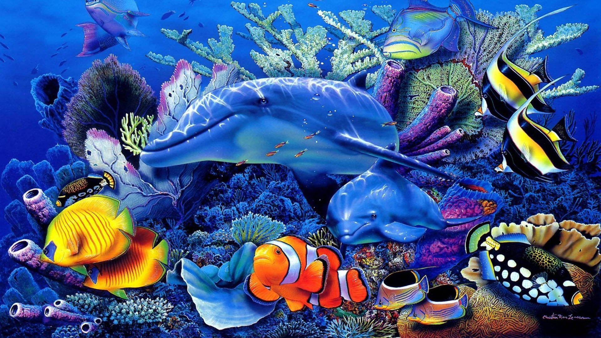 Dolphin 桌布 壁紙 — 充滿活力的海底場景，兩條海豚在色彩繽紛的珊瑚礁和熱帶魚之間游動。