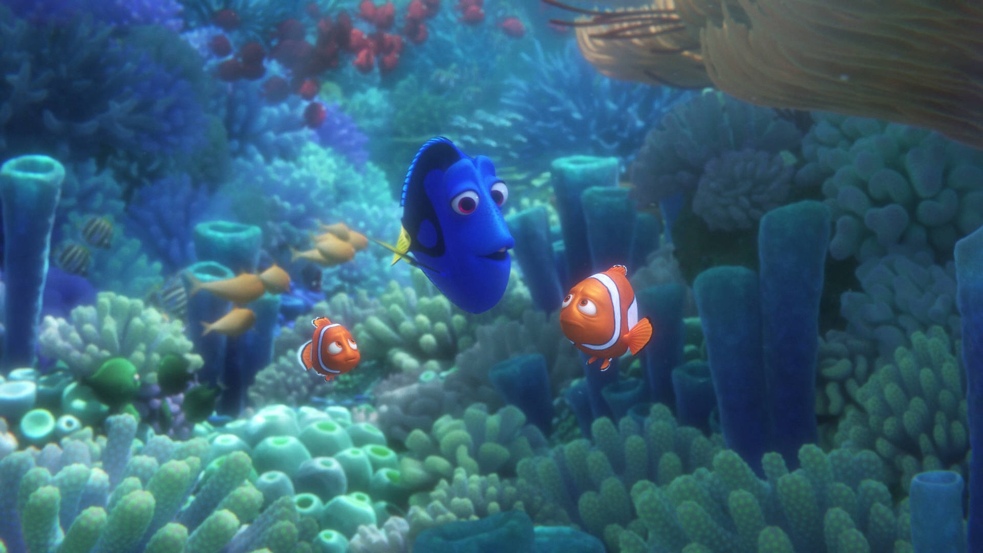 Dory 桌布 壁紙 — 充滿活力的海底場景，多莉和尼莫在色彩繽紛的珊瑚和海葵中游泳。