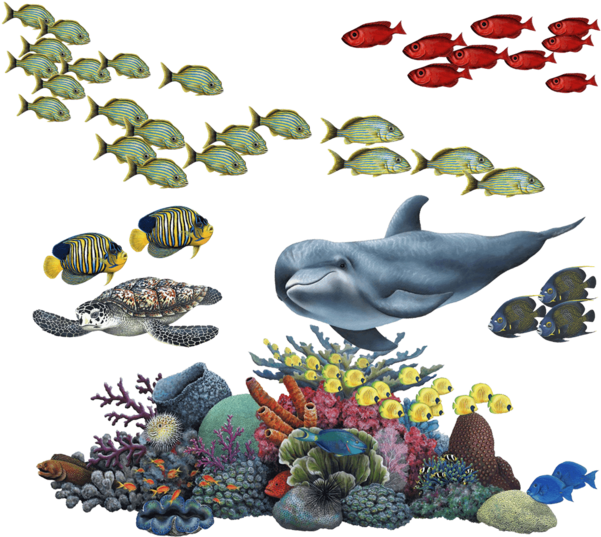 魚 桌布 壁紙 — 充滿活力的海底場景，有海豚、色彩繽紛的珊瑚礁和成群條紋魚在黑色背景中游動。