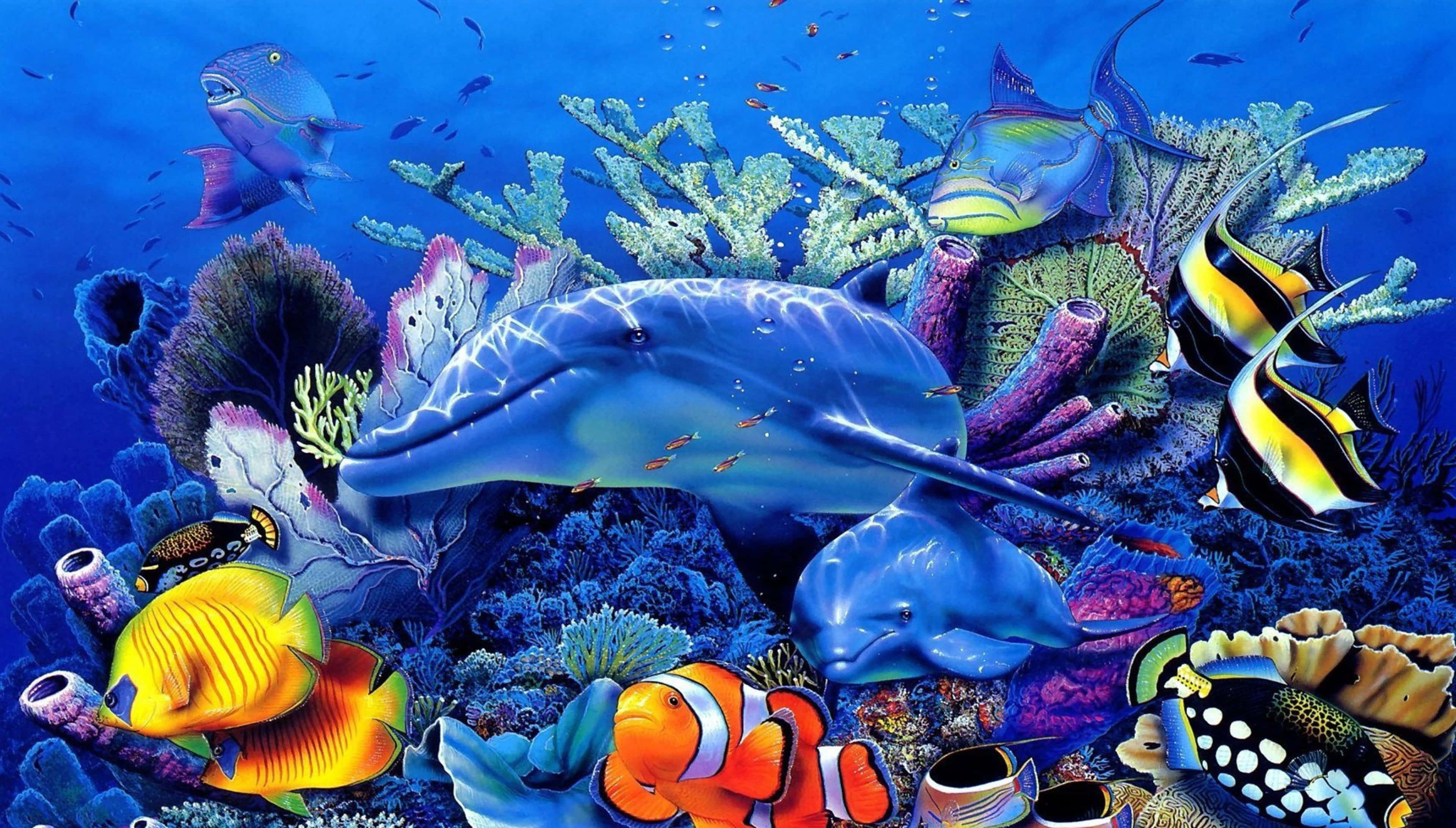 海洋 桌布 壁紙 — 充滿活力的海底場景，海豚和色彩繽紛的熱帶魚在生動的珊瑚礁中游動。