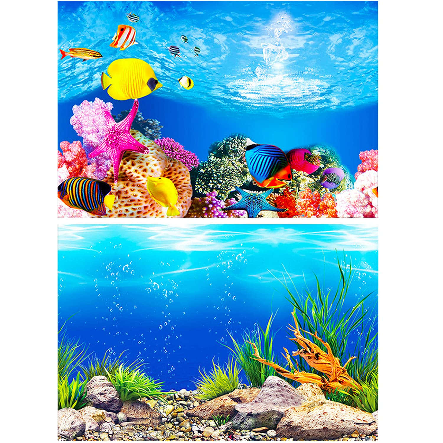 Best Fish 桌布 壁紙 — 充滿活力的海底場景，色彩繽紛的熱帶魚在珊瑚礁和陽光照射的水域中游動。