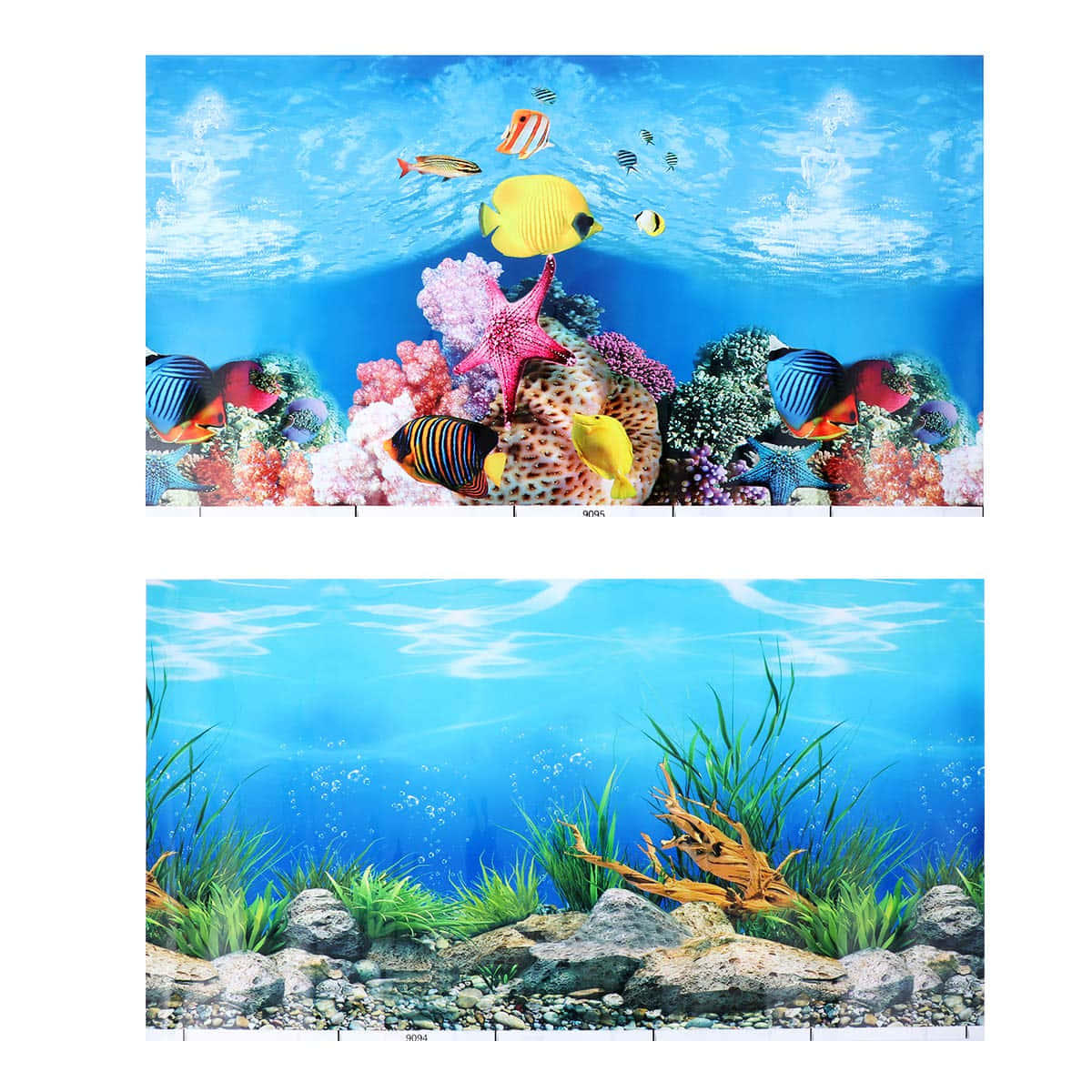 桌布 壁紙 — 充滿活力的海底場景，色彩繽紛的熱帶魚在珊瑚礁和海草間游動，背景是明亮的藍色海水。