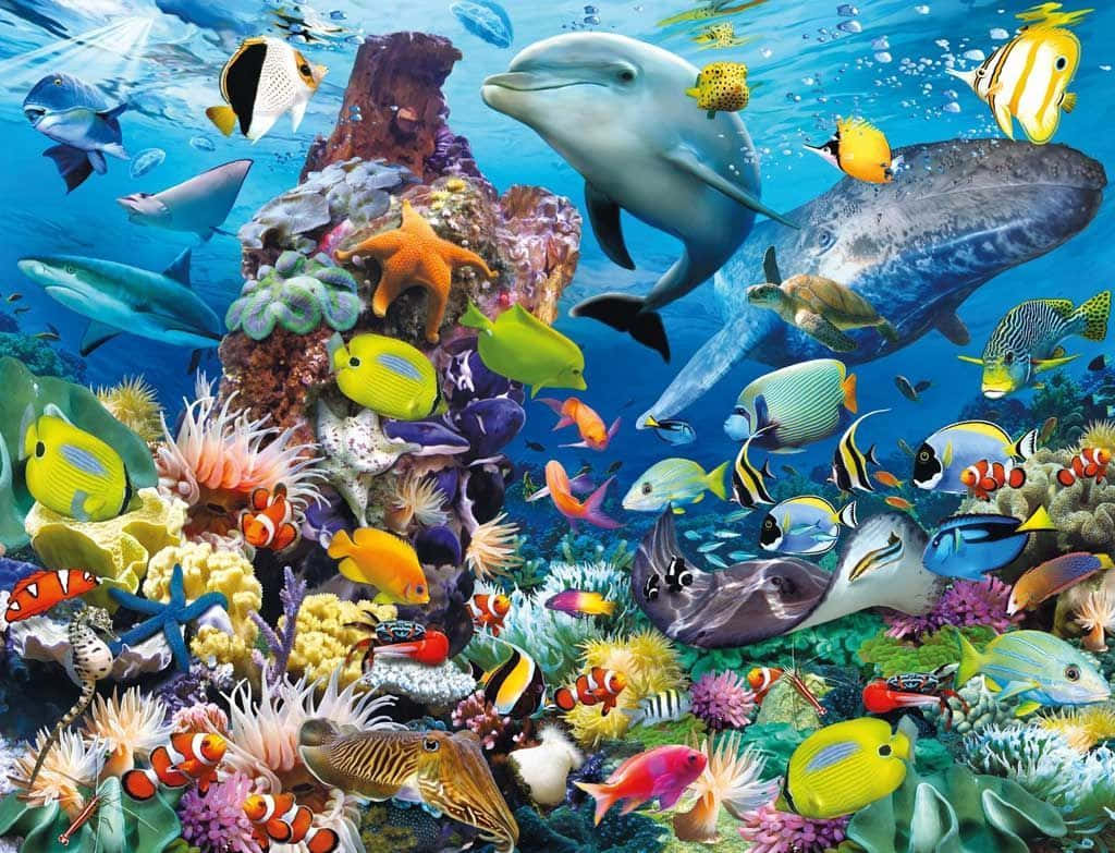 HD Fish 桌布 壁紙 — 充滿活力的海底場景，色彩繽紛的熱帶魚、珊瑚礁和海豚在陽光照射的水面附近游動。