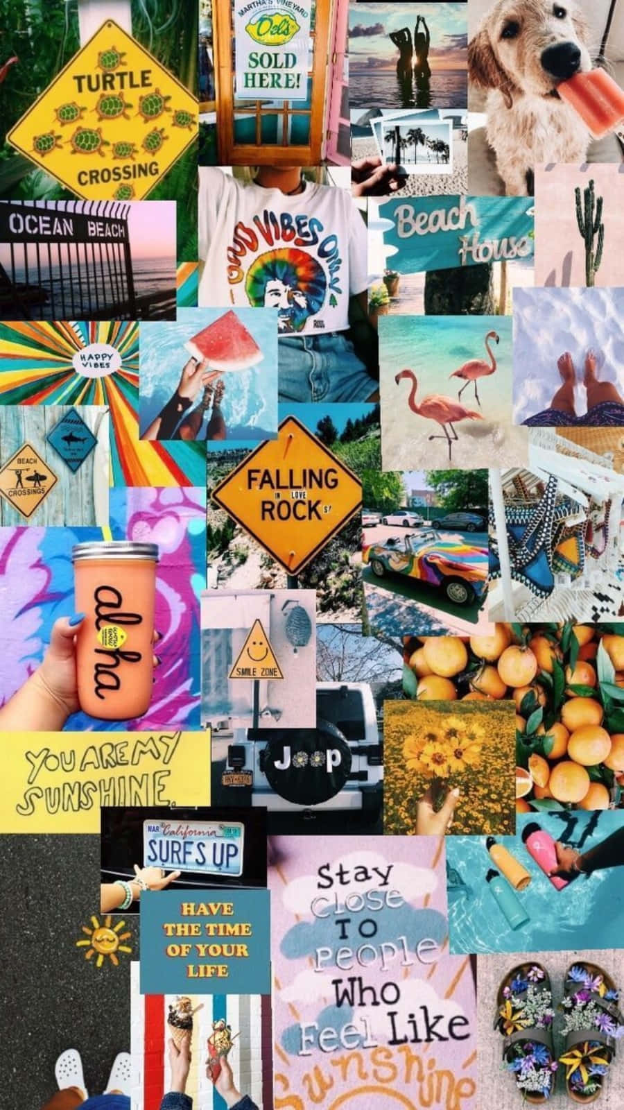iPhone Collage 桌布 壁紙 — 充滿活力的海灘主題拼貼畫， featuring 烏龜、標誌、西瓜、火烈鳥和陽光燦爛的語錄，營造歡快的夏日氛圍。