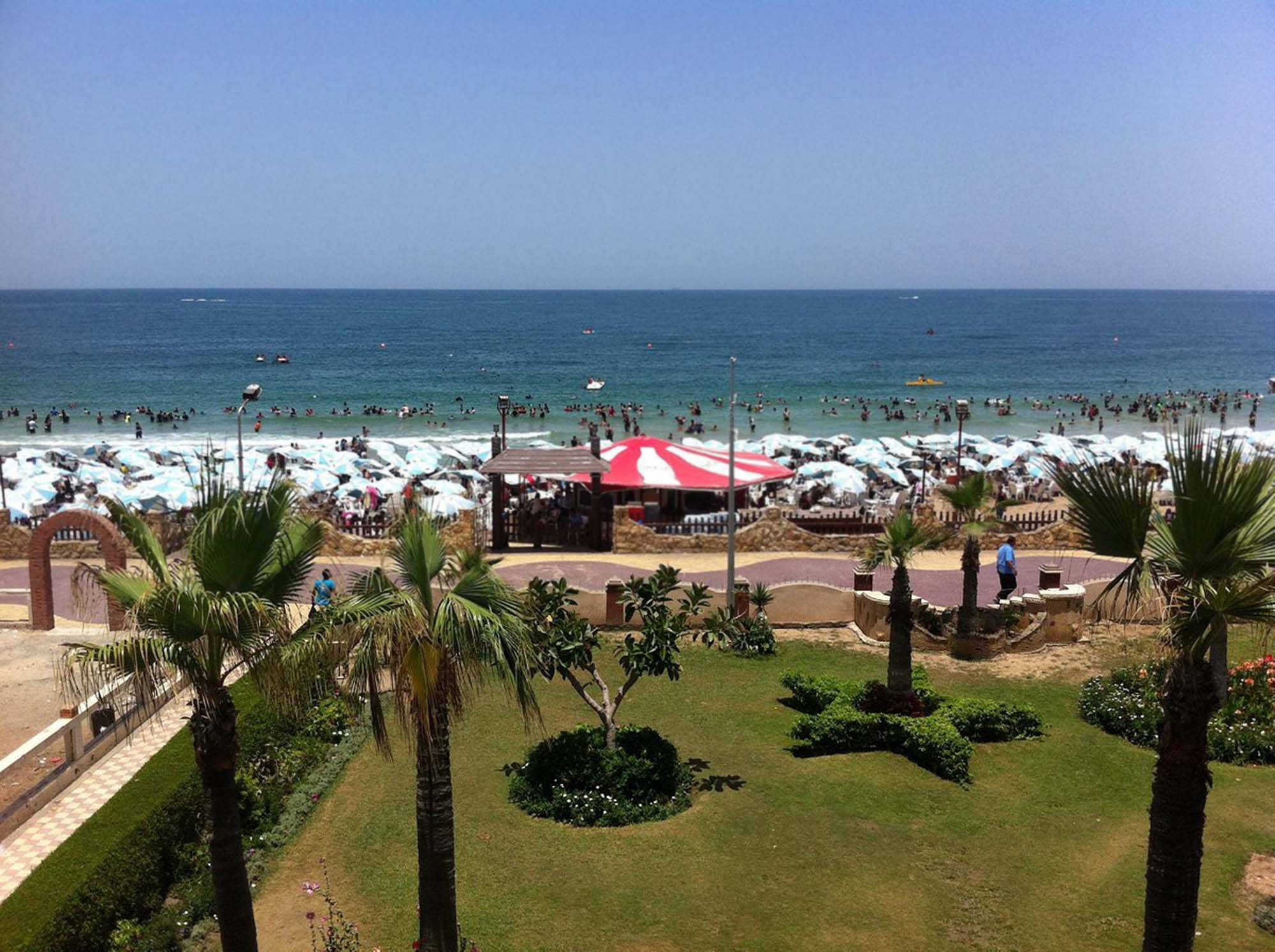 Alexandria 桌布 壁紙 — 充滿活力的海灘場景，在清澈的藍天下，綠松石色的海浪拍打著擠滿人群的海岸，海岸上排列著白色遮陽傘和棕櫚樹。