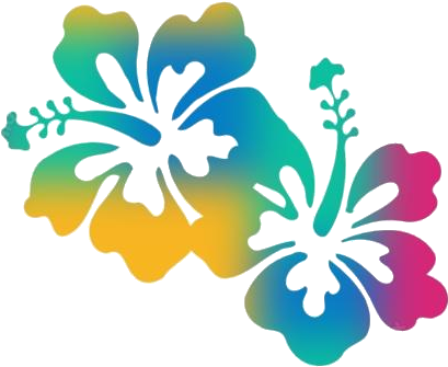 花 桌布 壁紙 — 充滿活力的漸變色木槿花在純黑背景下綻放出彩虹般的色彩。