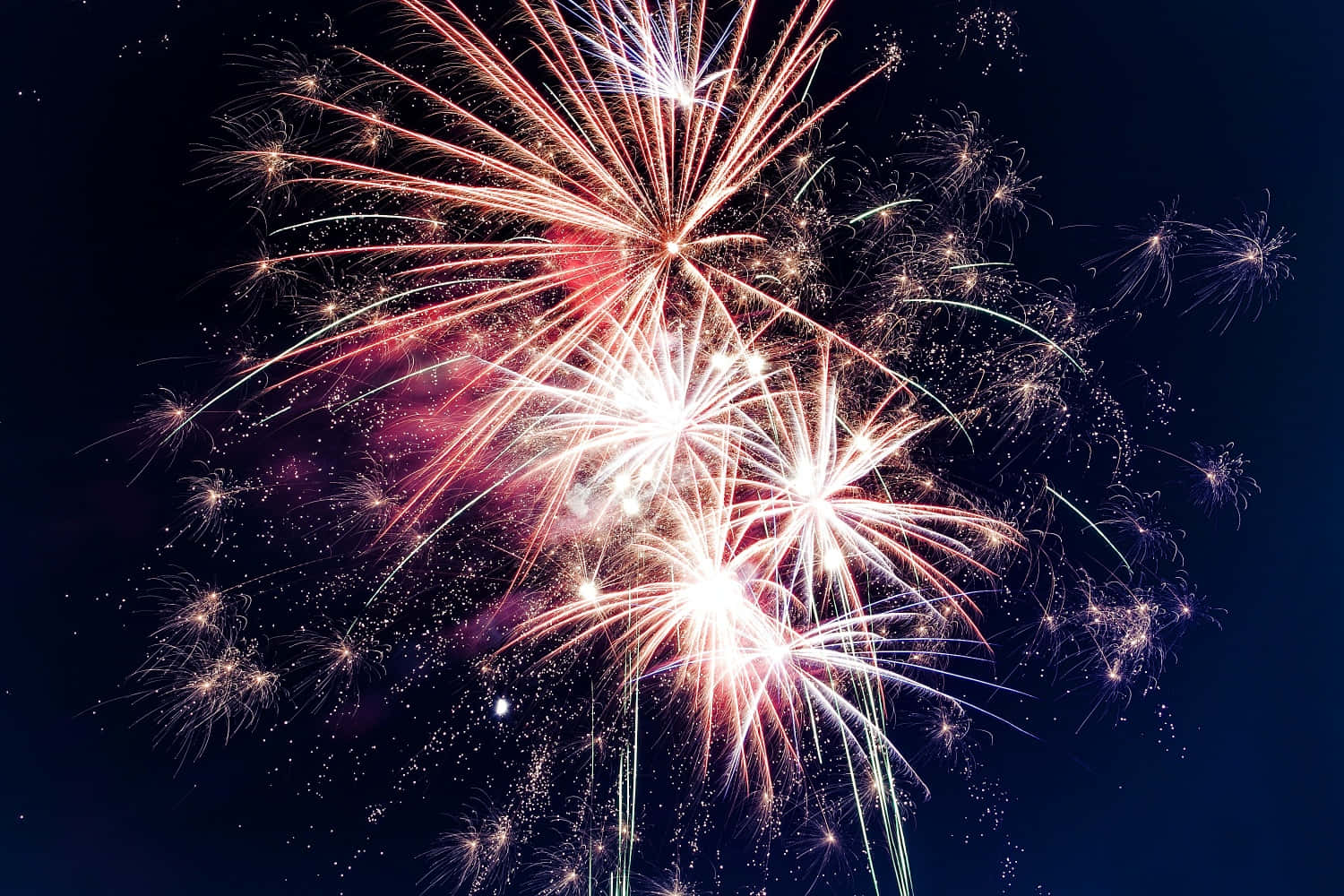 Celebration 桌布 壁紙 — 充滿活力的煙火在深沉的午夜天空中綻放出耀眼的紅色、白色和金色光芒。