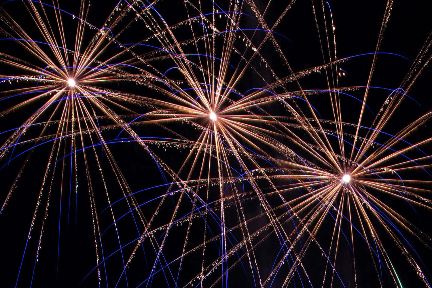 Fireworks 桌布 壁紙 — 充滿活力的煙火在漆黑的夜空中綻放出金色和藍色的光芒。