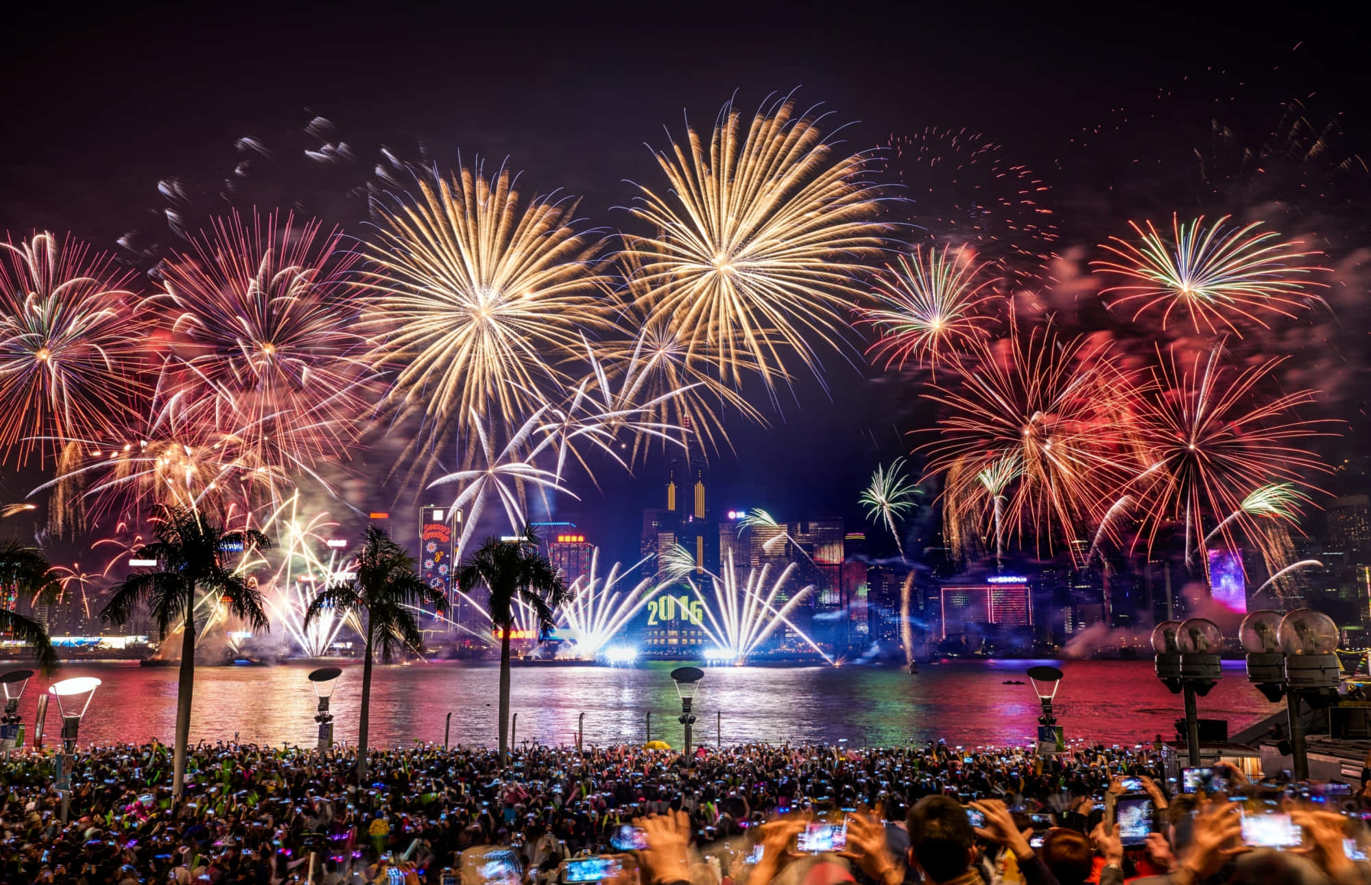 New Years Eve 桌布 壁紙 — 充滿活力的煙火在閃爍的城市天際線上爆炸，人群聚集在海濱慶祝。