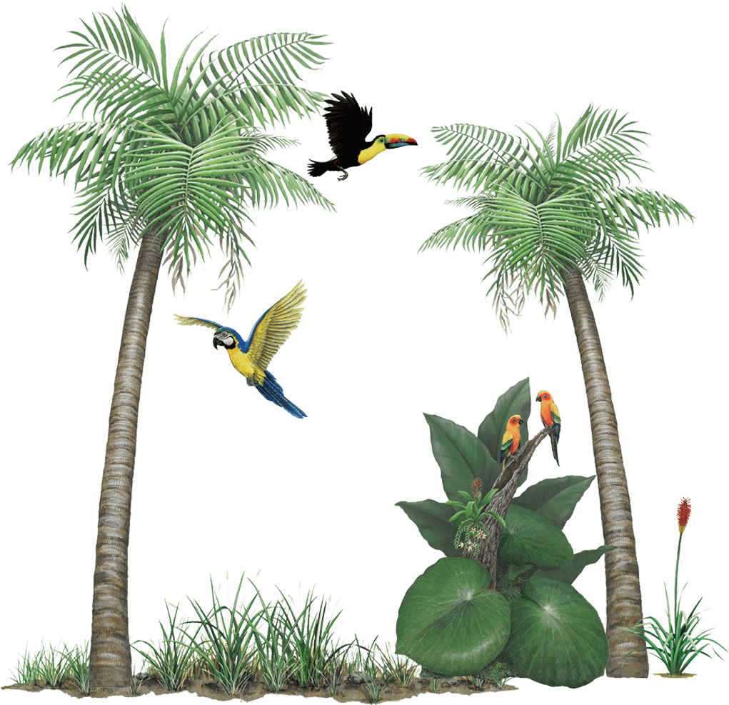 Clip Art 桌布 壁紙 — 充滿活力的熱帶場景，棕櫚樹和色彩繽紛的鸚鵡在茂密的綠色樹葉間飛翔和棲息。
