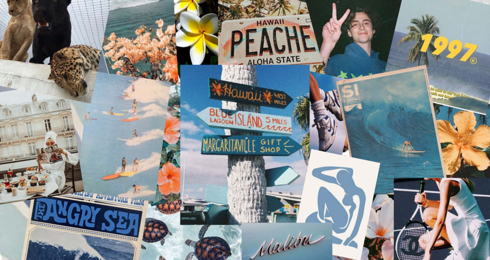 Collage Aesthetic Summer Laptop 桌布 壁紙 — 充滿活力的熱帶旅行照片拼貼， featuring 衝浪者、棕櫚樹、木槿花和復古路牌。